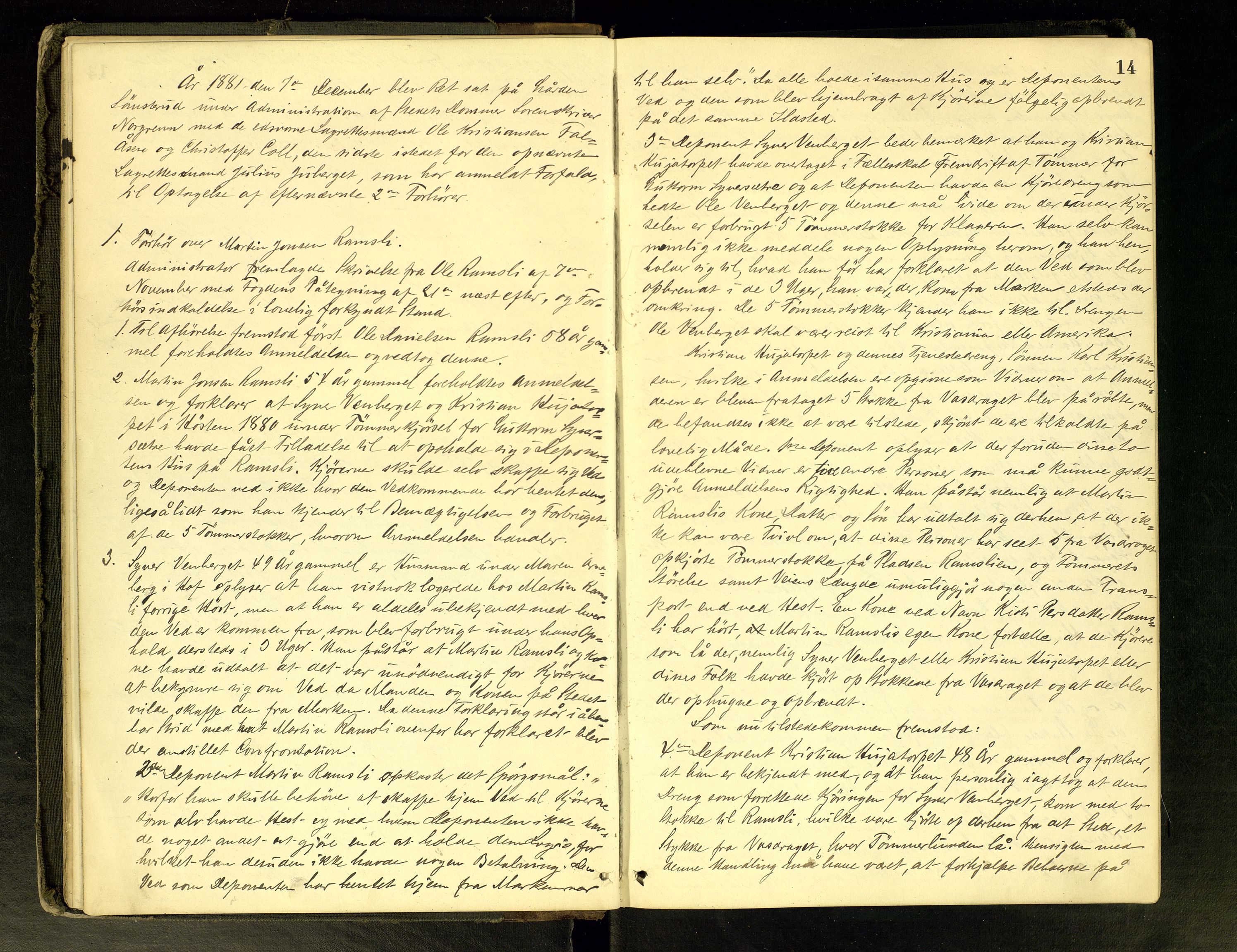 Solør tingrett, AV/SAH-TING-008/G/Gc/Gca/L0020: Ekstrarettsprotokoll, 1881-1886, p. 14