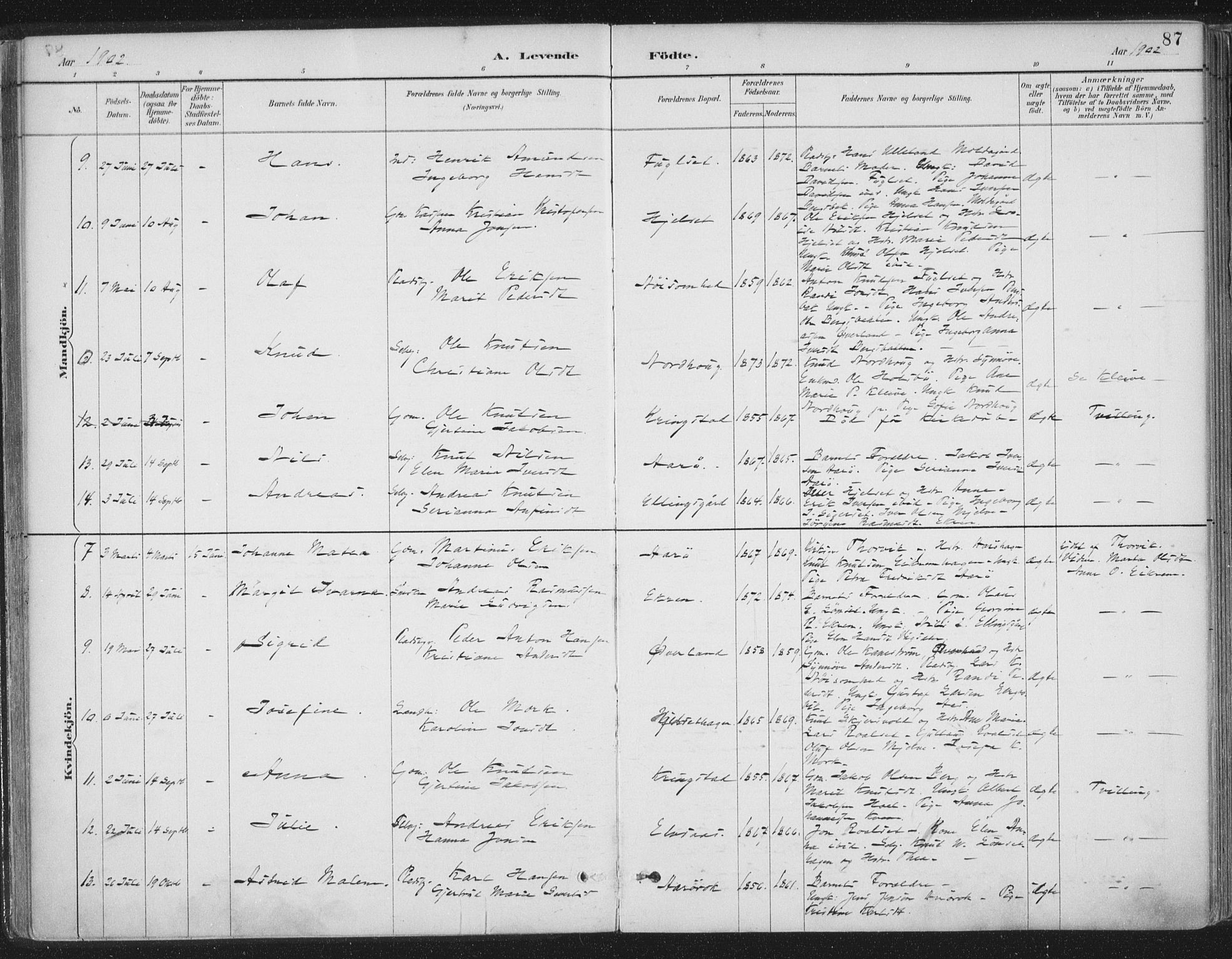 Ministerialprotokoller, klokkerbøker og fødselsregistre - Møre og Romsdal, AV/SAT-A-1454/555/L0658: Parish register (official) no. 555A09, 1887-1917, p. 87