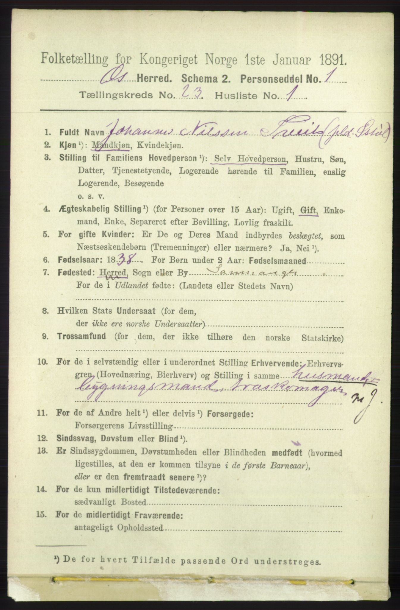 RA, 1891 census for 1243 Os, 1891, p. 5066