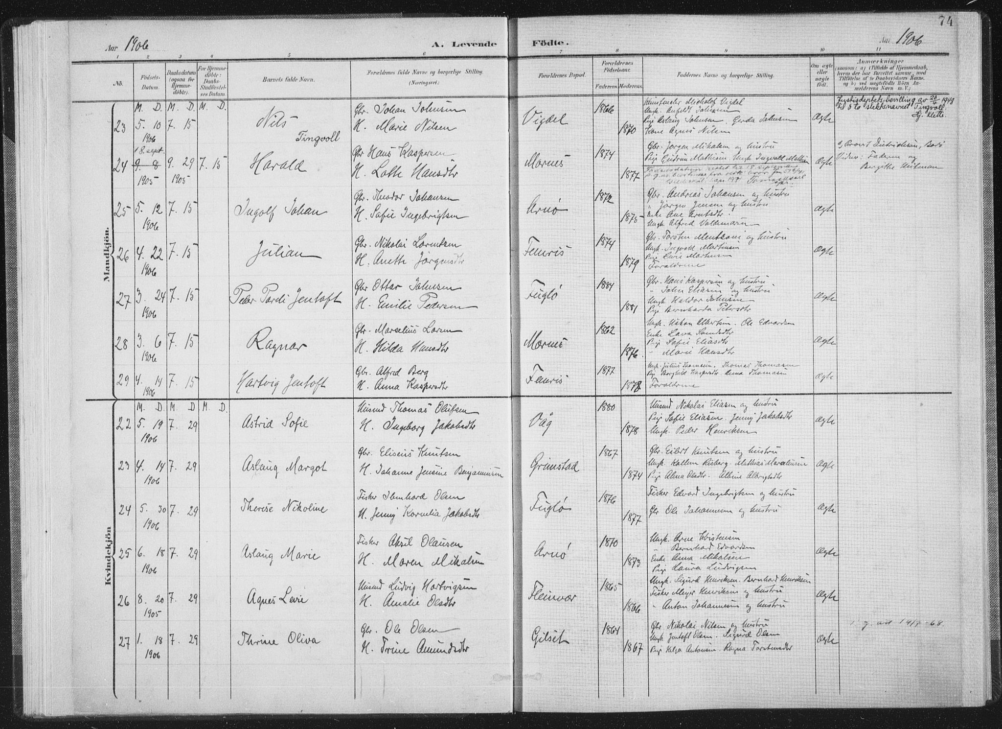 Ministerialprotokoller, klokkerbøker og fødselsregistre - Nordland, SAT/A-1459/805/L0102: Parish register (official) no. 805A08I, 1900-1909, p. 74