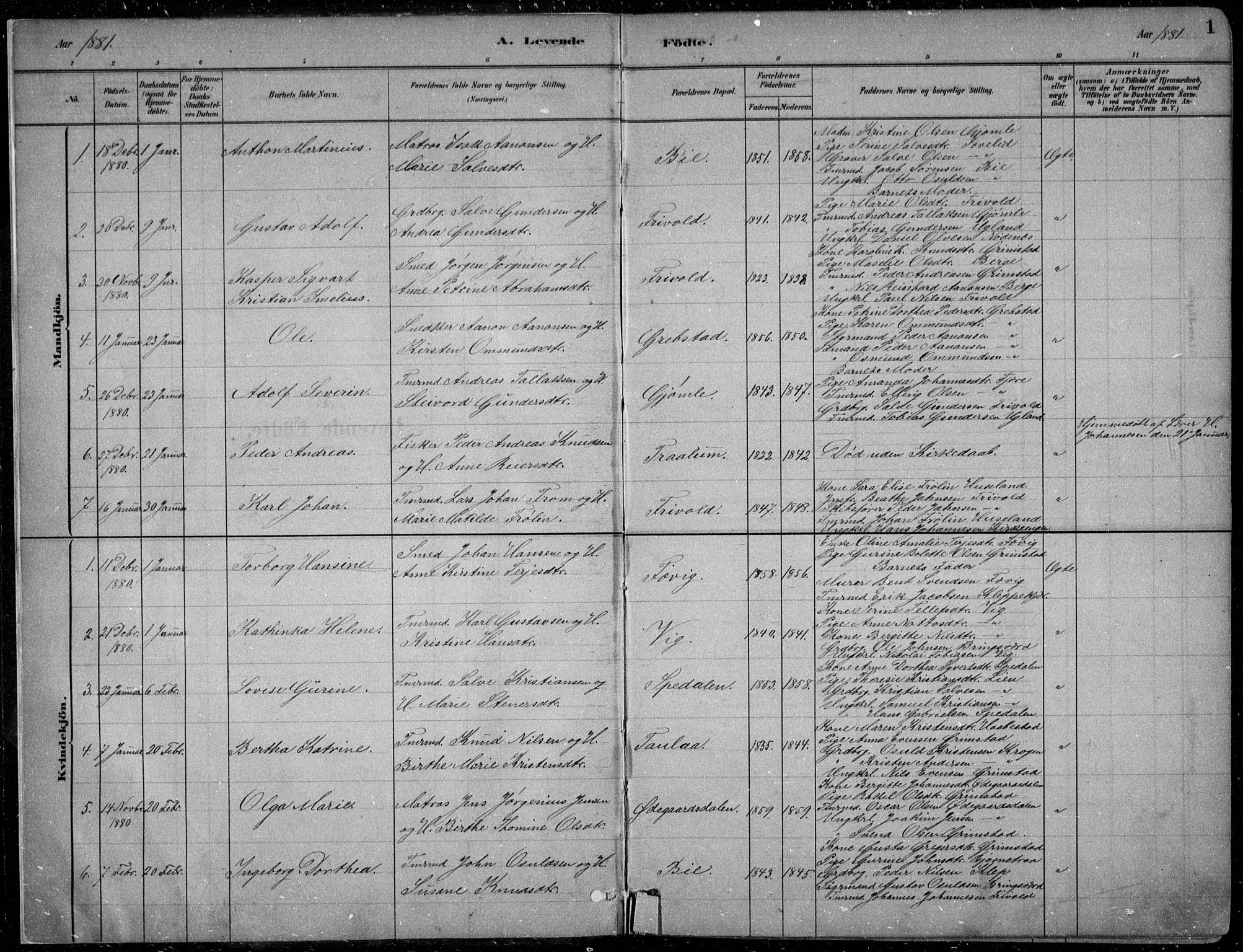 Fjære sokneprestkontor, SAK/1111-0011/F/Fb/L0011: Parish register (copy) no. B 11, 1881-1905, p. 1