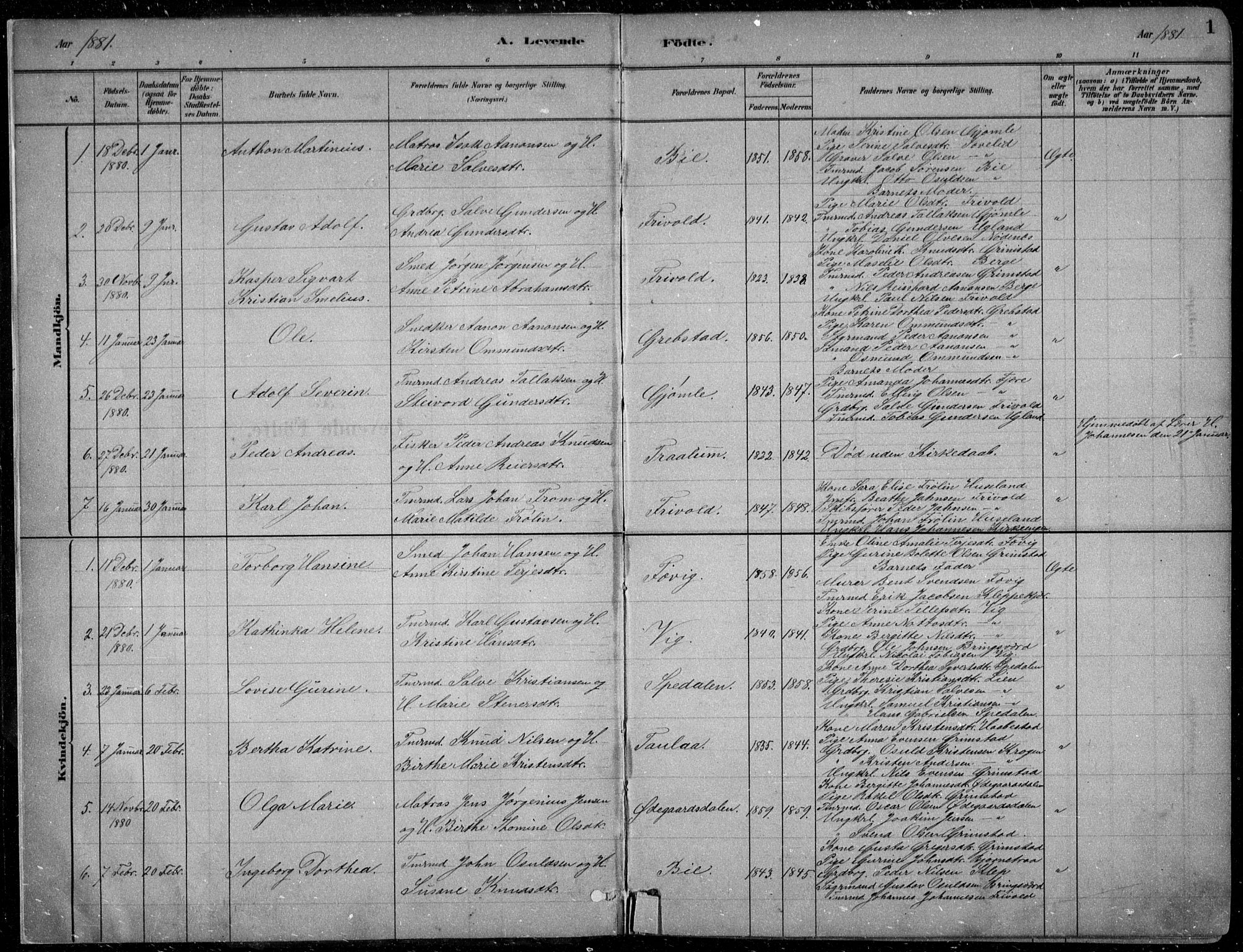 Fjære sokneprestkontor, AV/SAK-1111-0011/F/Fb/L0011: Parish register (copy) no. B 11, 1881-1905, p. 1