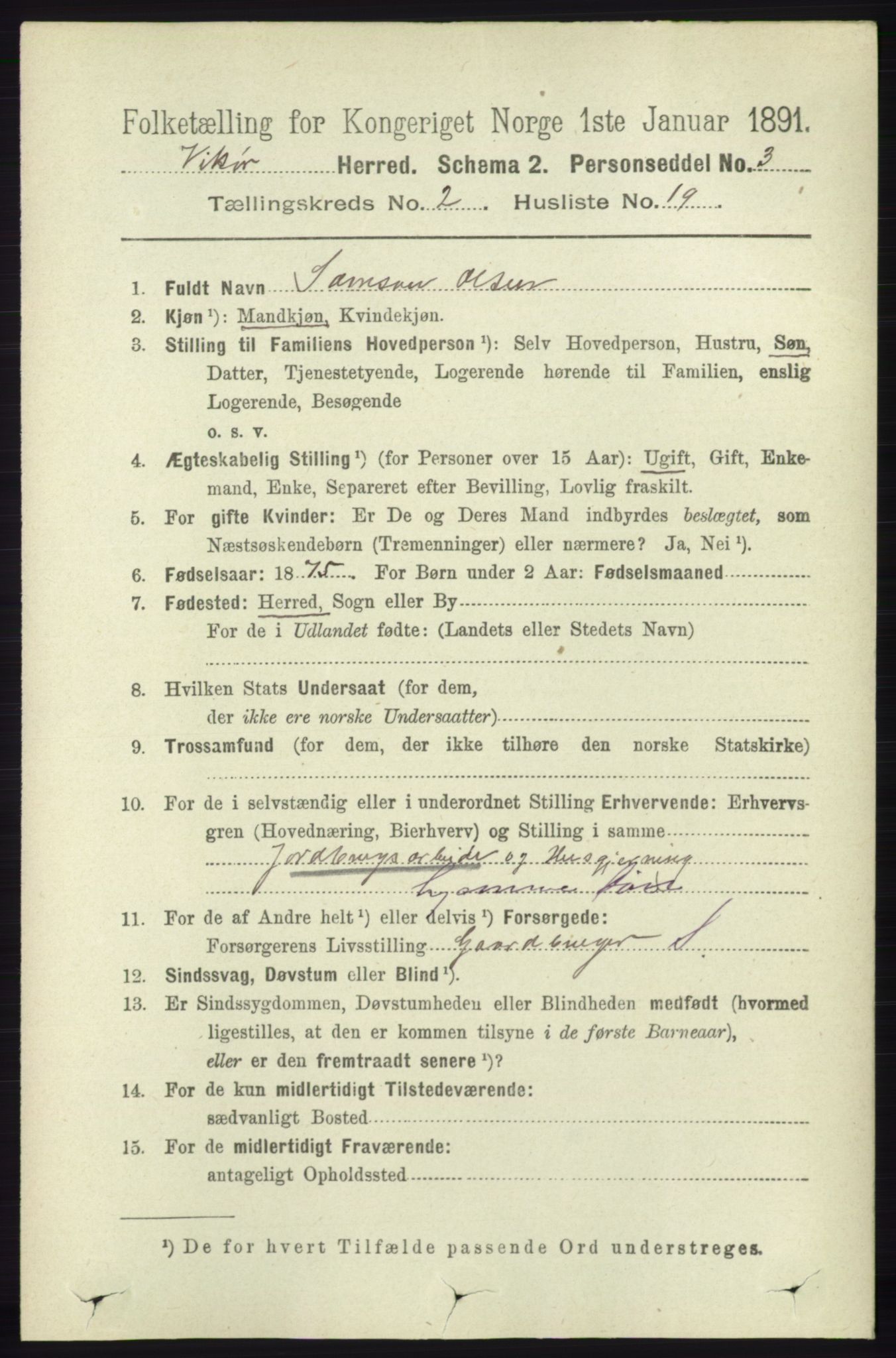 RA, 1891 census for 1238 Vikør, 1891, p. 595