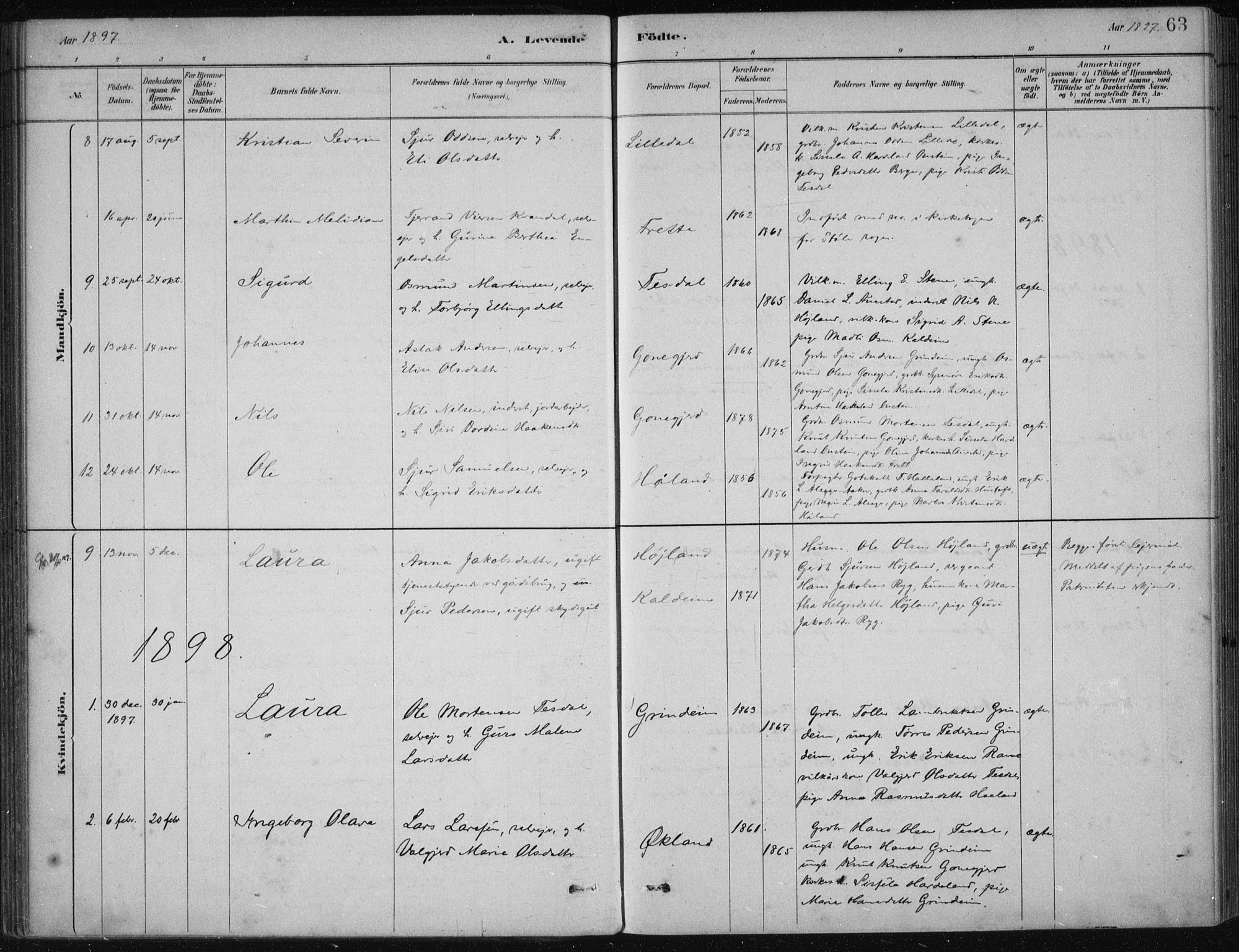 Etne sokneprestembete, SAB/A-75001/H/Haa: Parish register (official) no. D  1, 1879-1919, p. 63