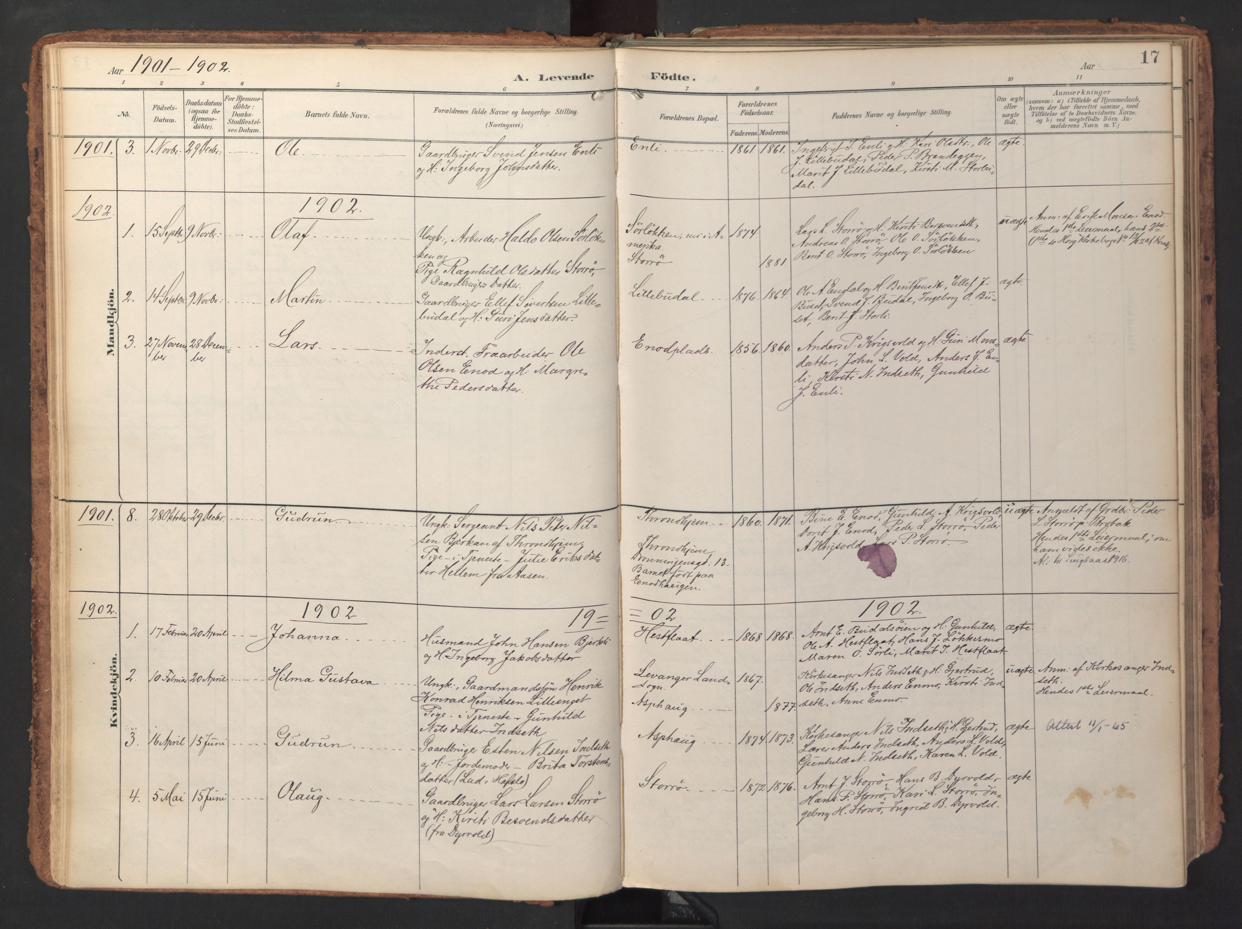 Ministerialprotokoller, klokkerbøker og fødselsregistre - Sør-Trøndelag, SAT/A-1456/690/L1050: Parish register (official) no. 690A01, 1889-1929, p. 17