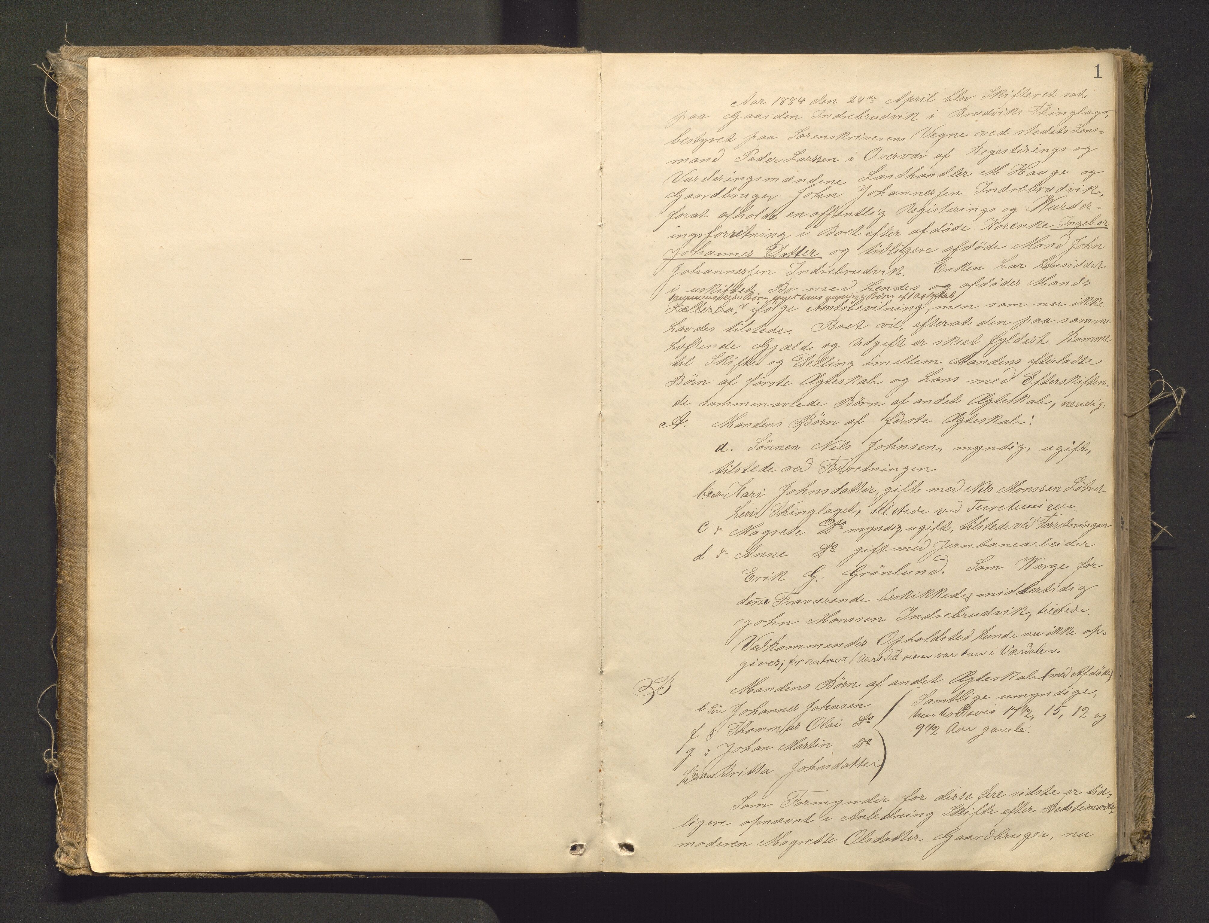 Lensmannen i Bruvik, AV/SAB-A-31301/0006/L0003: Registreringsprotokoll, 1884-1911, p. 1a
