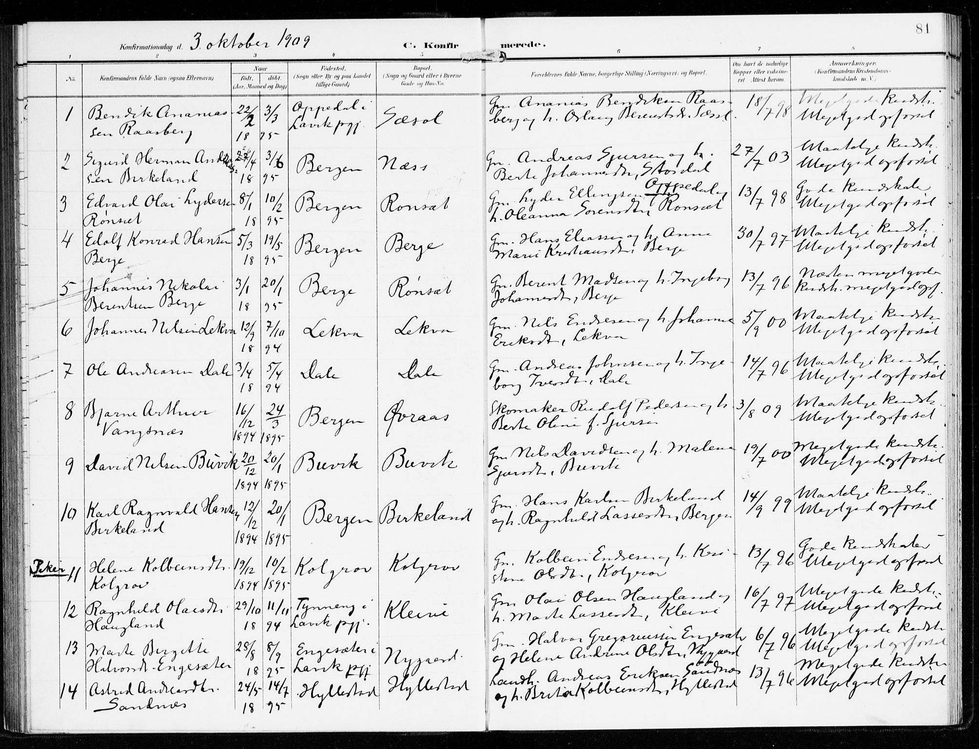 Hyllestad sokneprestembete, SAB/A-80401: Parish register (official) no. B 2, 1903-1917, p. 81