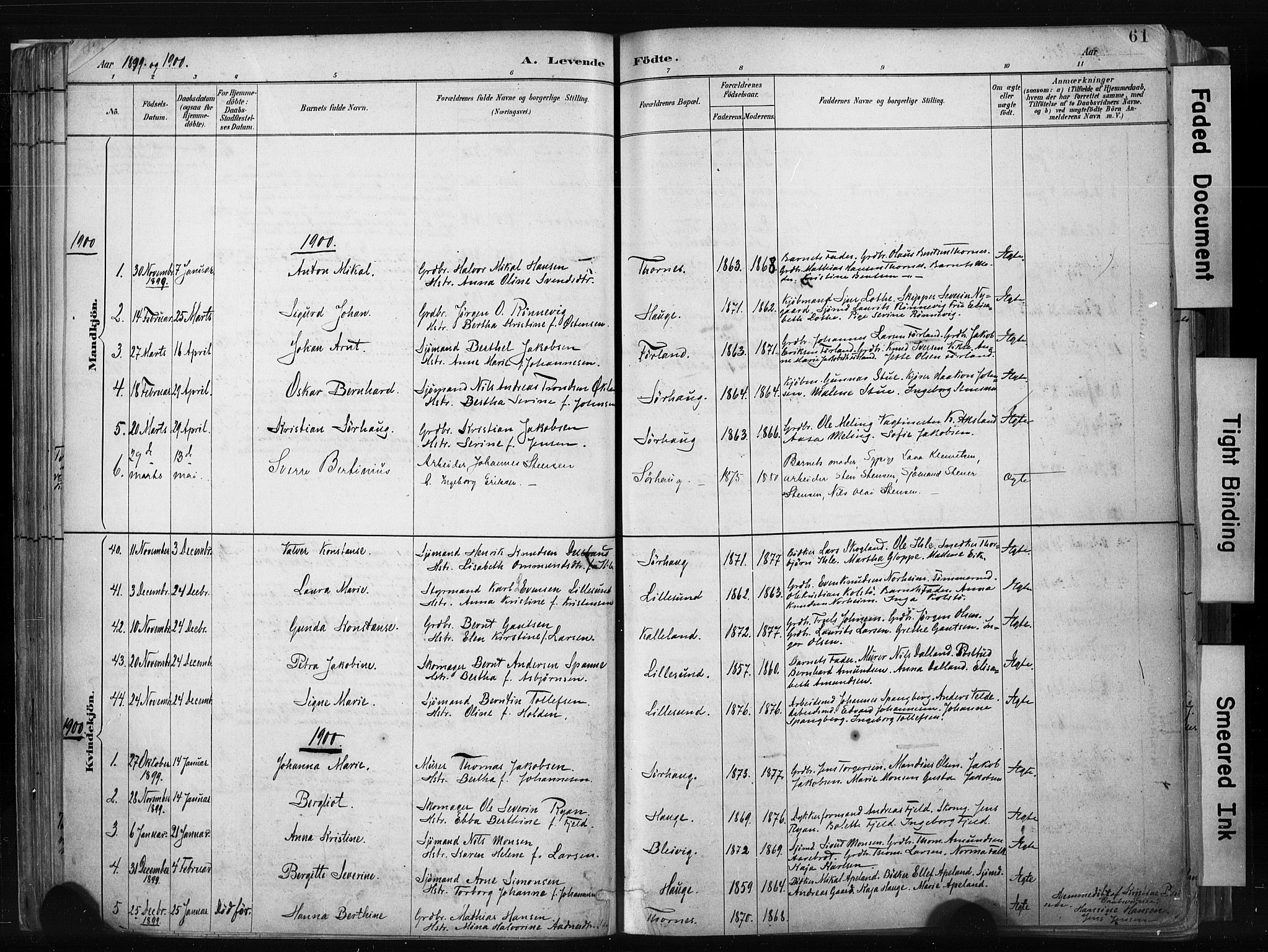 Haugesund sokneprestkontor, AV/SAST-A -101863/H/Ha/Haa/L0004: Parish register (official) no. A 4, 1886-1908, p. 61