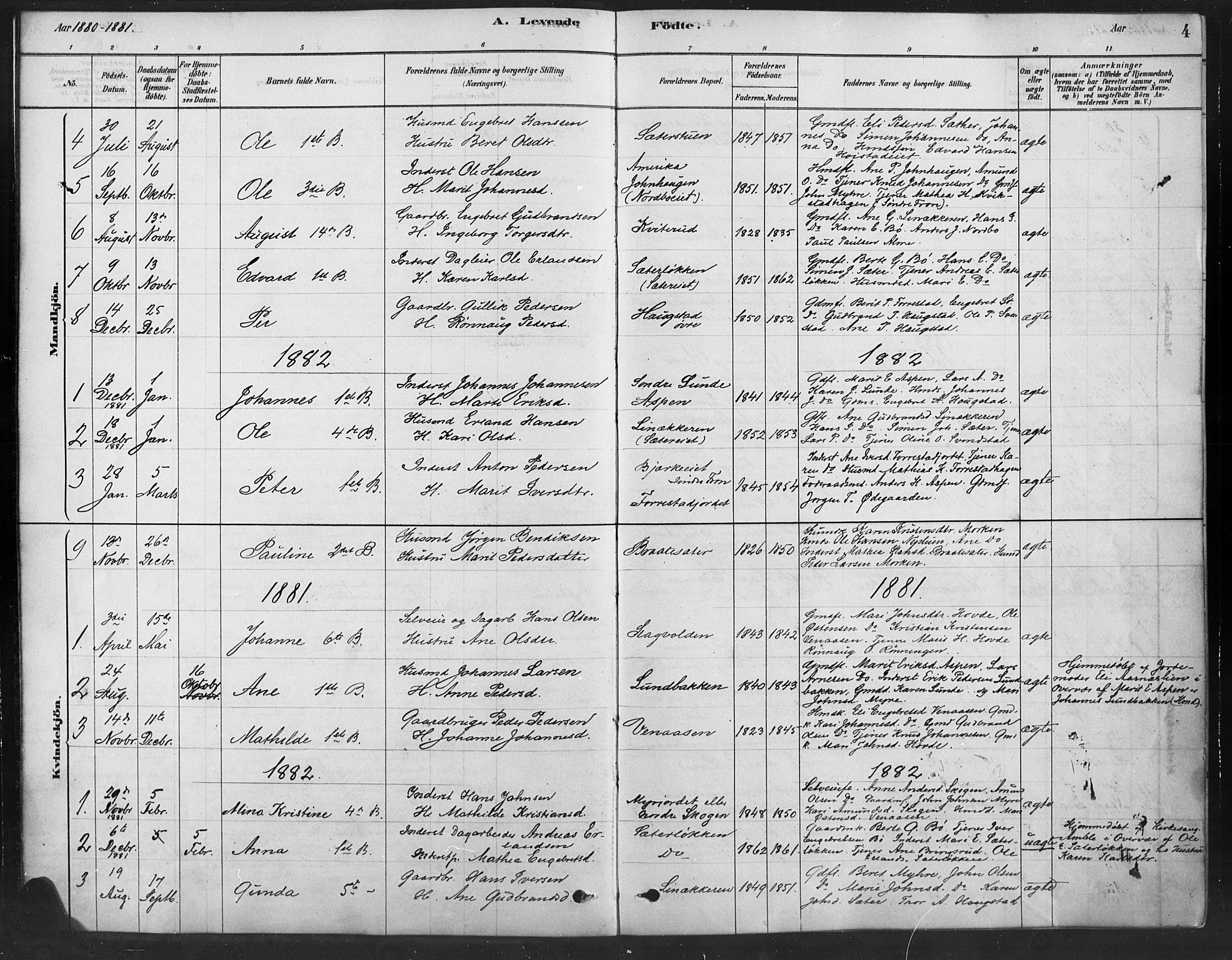 Ringebu prestekontor, AV/SAH-PREST-082/H/Ha/Haa/L0010: Parish register (official) no. 10, 1878-1898, p. 4