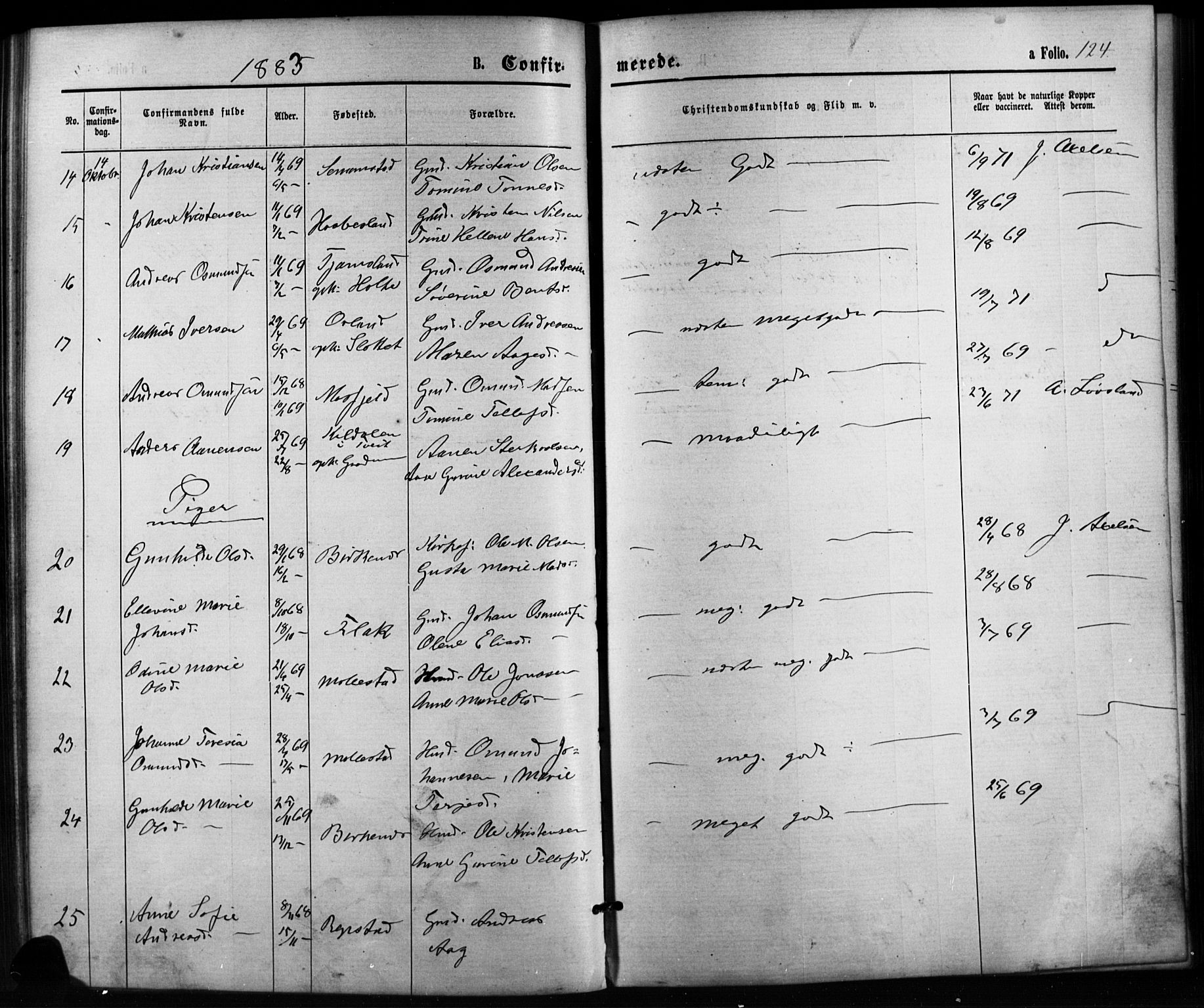 Birkenes sokneprestkontor, SAK/1111-0004/F/Fb/L0003: Parish register (copy) no. B 3, 1876-1892, p. 124