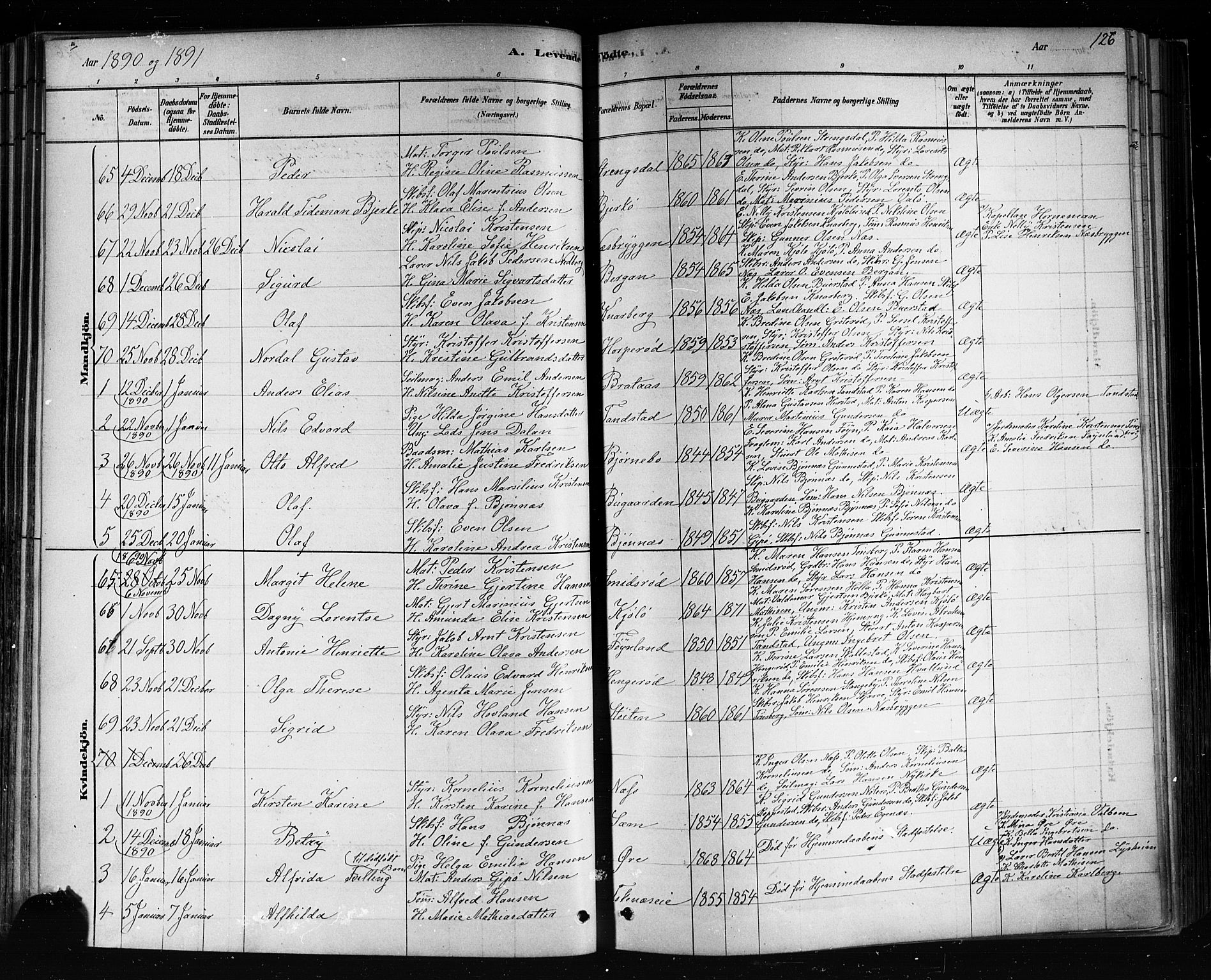 Nøtterøy kirkebøker, AV/SAKO-A-354/F/Fa/L0008: Parish register (official) no. I 8, 1878-1893, p. 126