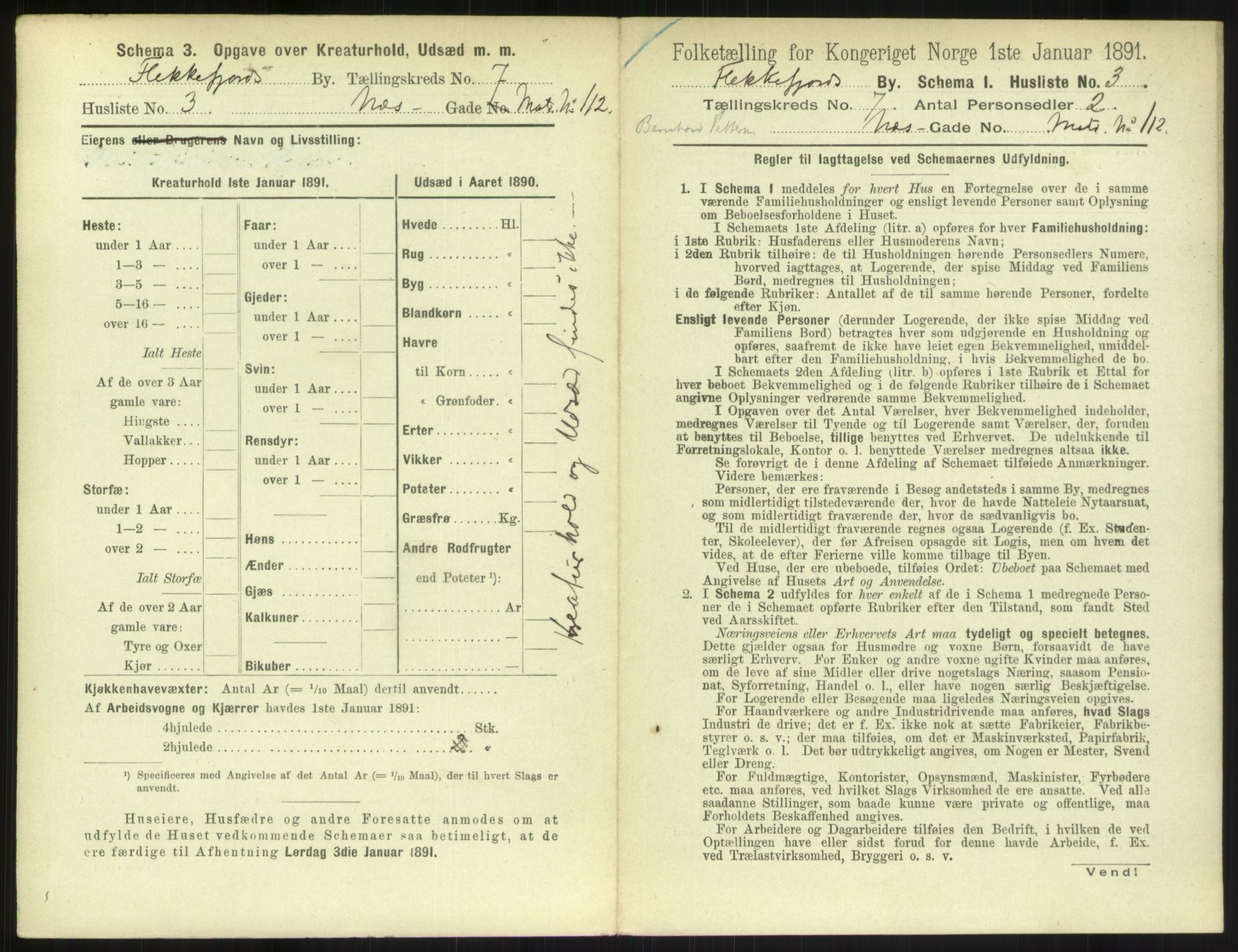 RA, 1891 census for 1004 Flekkefjord, 1891, p. 258