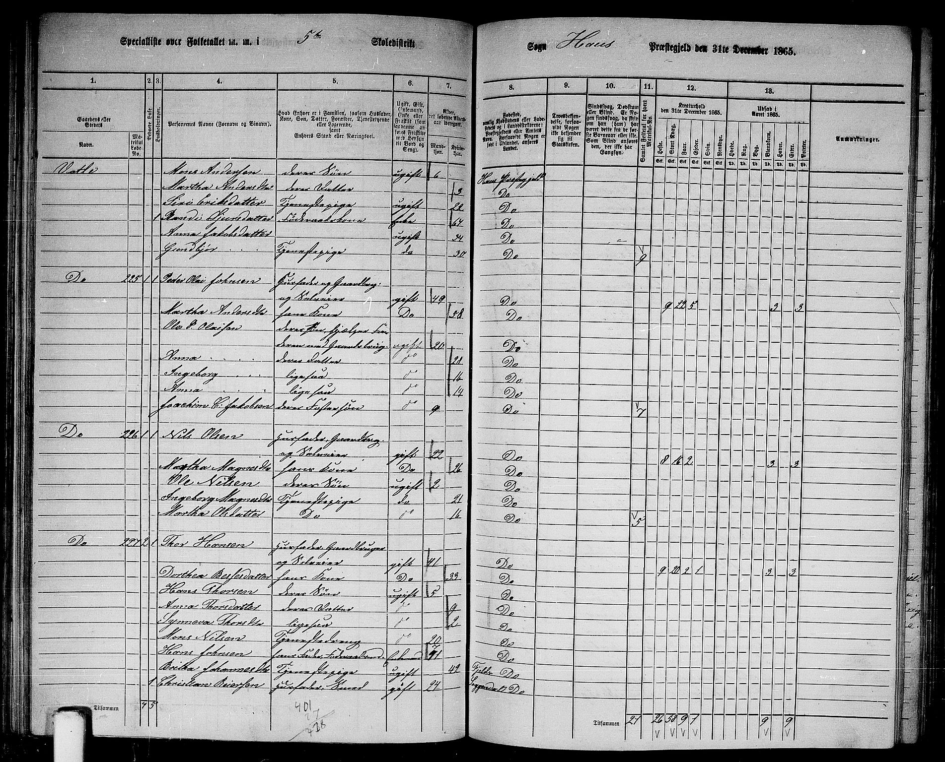 RA, 1865 census for Haus, 1865, p. 109