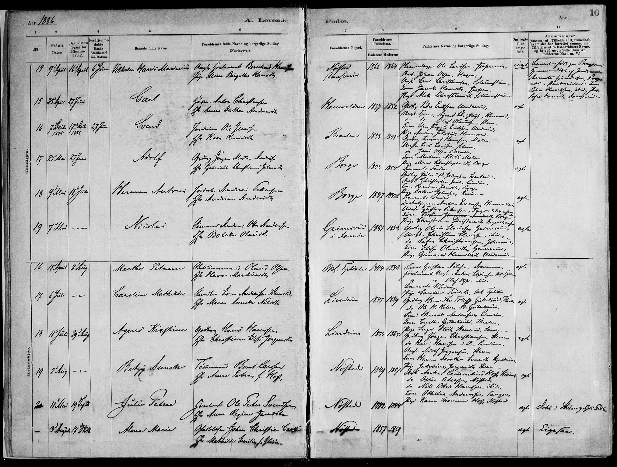Skoger kirkebøker, AV/SAKO-A-59/F/Fa/L0006: Parish register (official) no. I 6, 1885-1910, p. 10