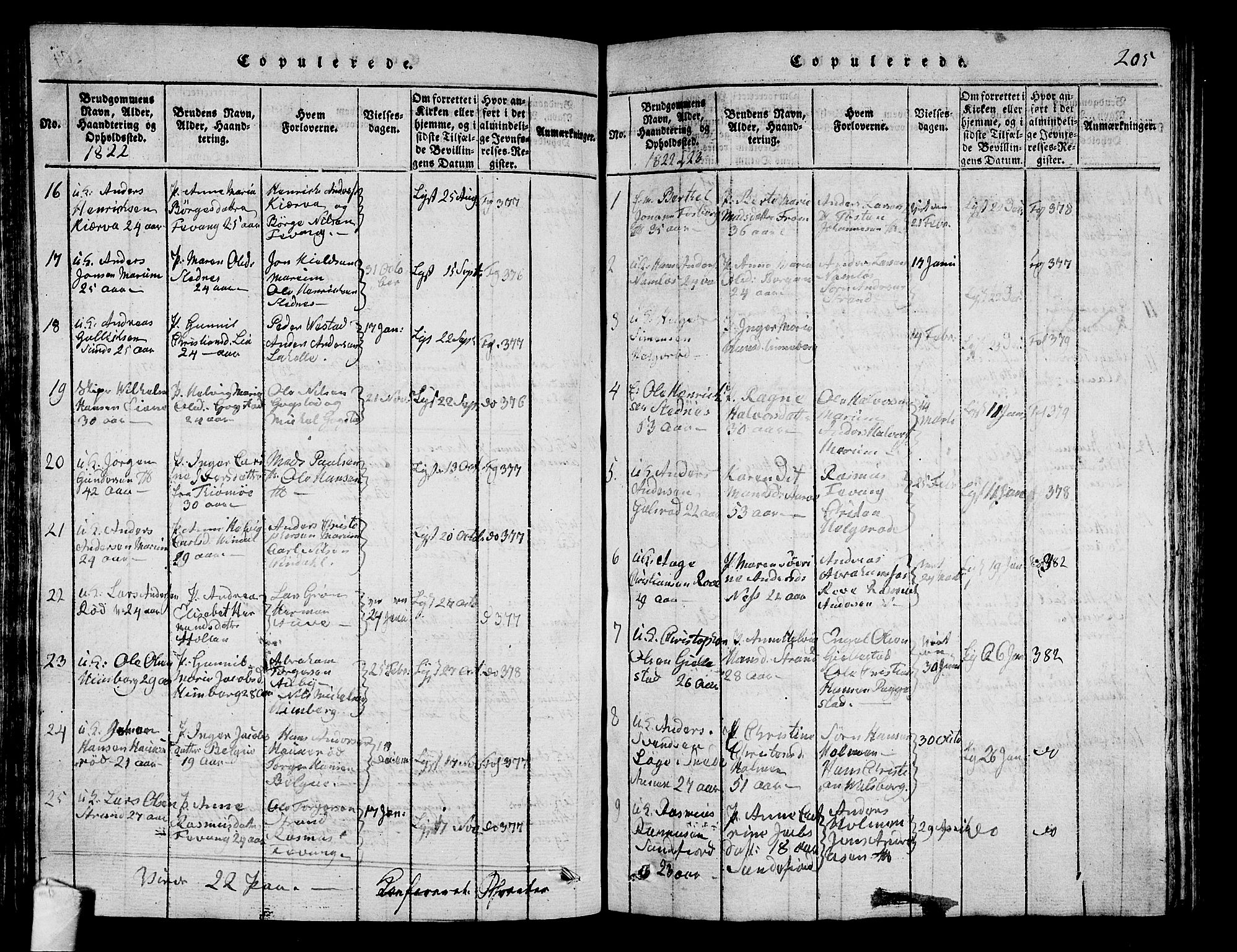 Sandar kirkebøker, AV/SAKO-A-243/G/Ga/L0001: Parish register (copy) no. 1, 1814-1835, p. 205