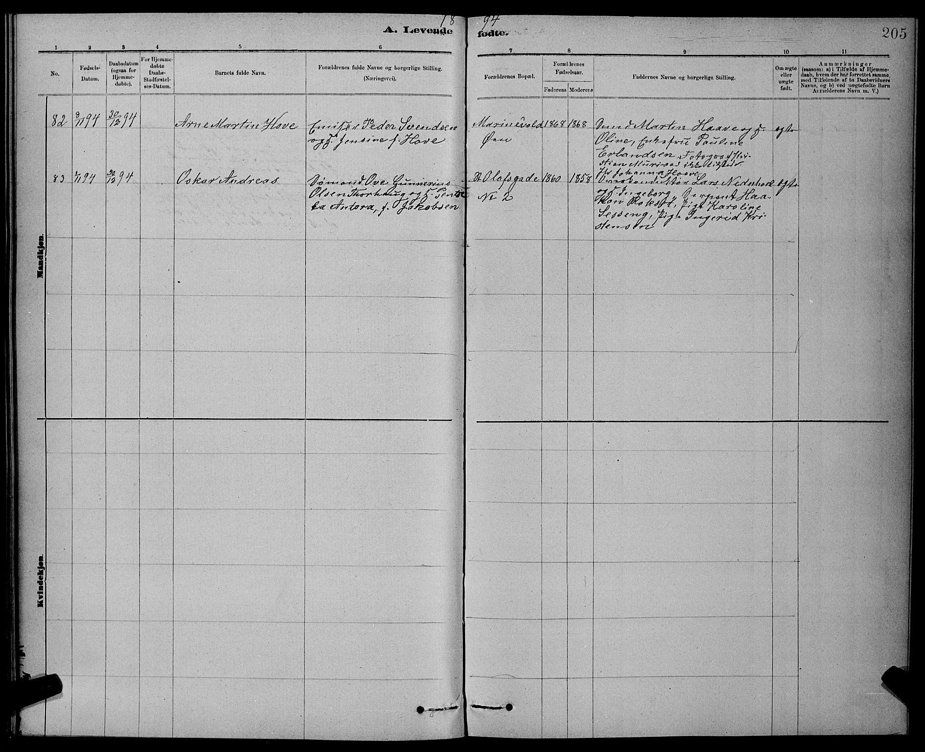 Ministerialprotokoller, klokkerbøker og fødselsregistre - Sør-Trøndelag, SAT/A-1456/601/L0092: Parish register (copy) no. 601C10, 1884-1897, p. 205