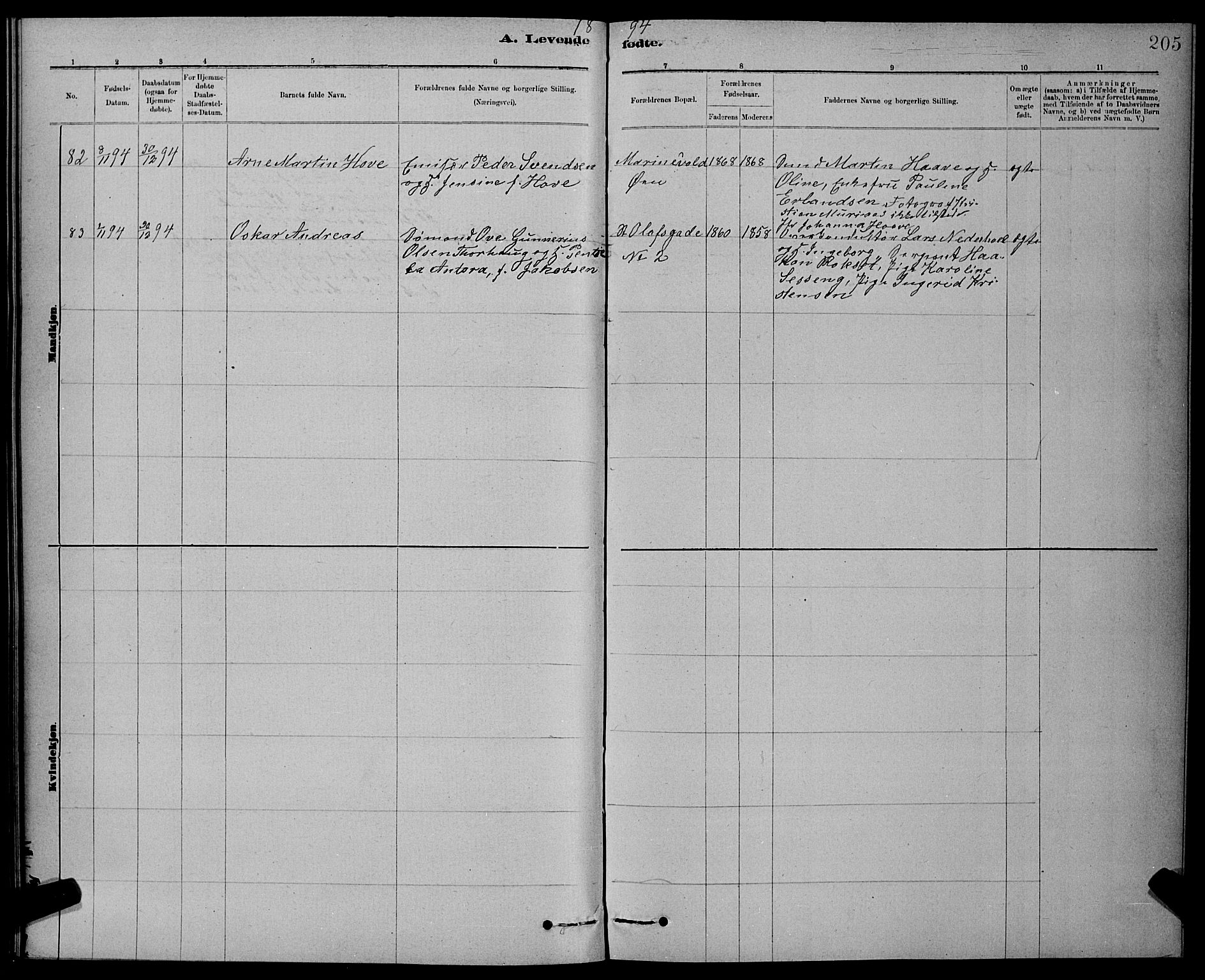 Ministerialprotokoller, klokkerbøker og fødselsregistre - Sør-Trøndelag, AV/SAT-A-1456/601/L0092: Parish register (copy) no. 601C10, 1884-1897, p. 205