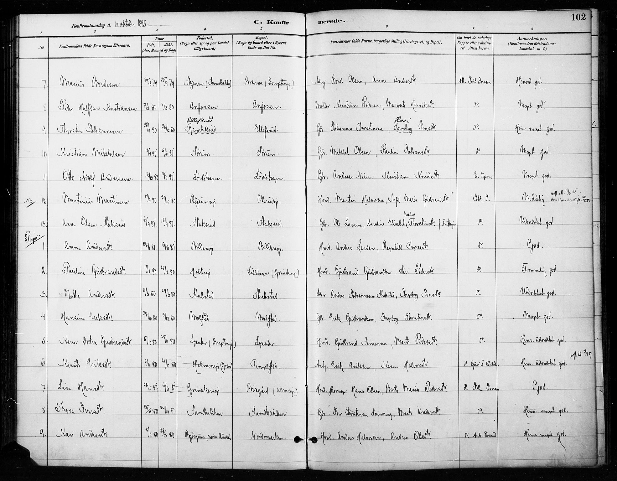 Gran prestekontor, SAH/PREST-112/H/Ha/Haa/L0018: Parish register (official) no. 18, 1889-1899, p. 102