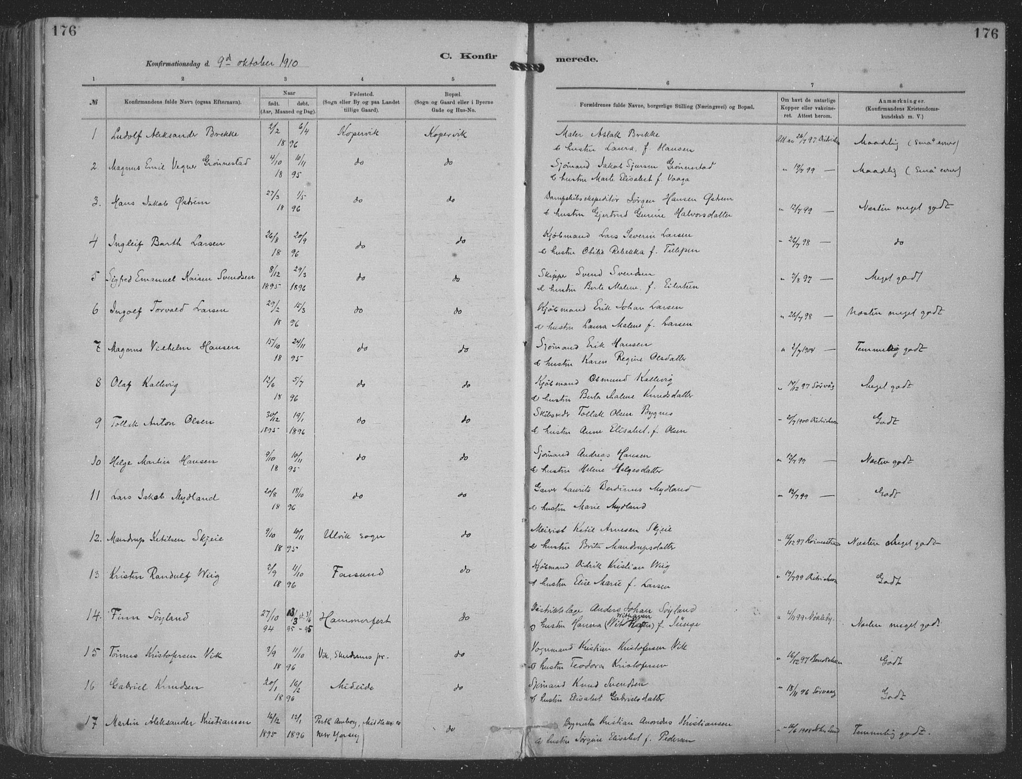 Kopervik sokneprestkontor, SAST/A-101850/H/Ha/Haa/L0001: Parish register (official) no. A 1, 1880-1919, p. 176