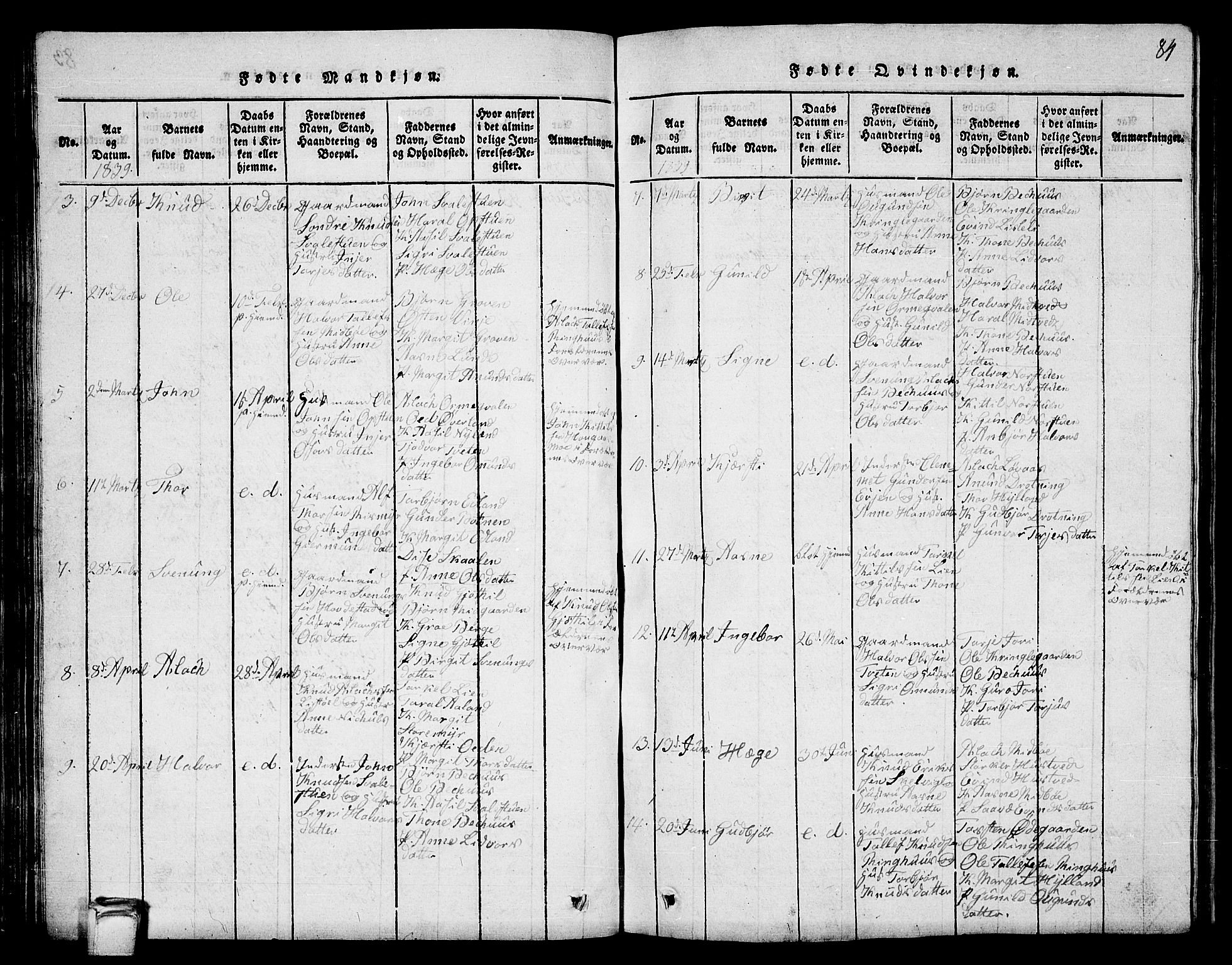 Vinje kirkebøker, SAKO/A-312/G/Ga/L0001: Parish register (copy) no. I 1, 1814-1843, p. 84