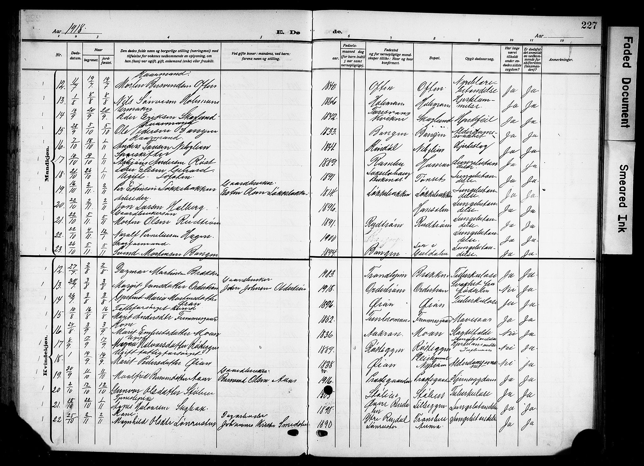 Tynset prestekontor, AV/SAH-PREST-058/H/Ha/Hab/L0011: Parish register (copy) no. 11, 1915-1930, p. 227