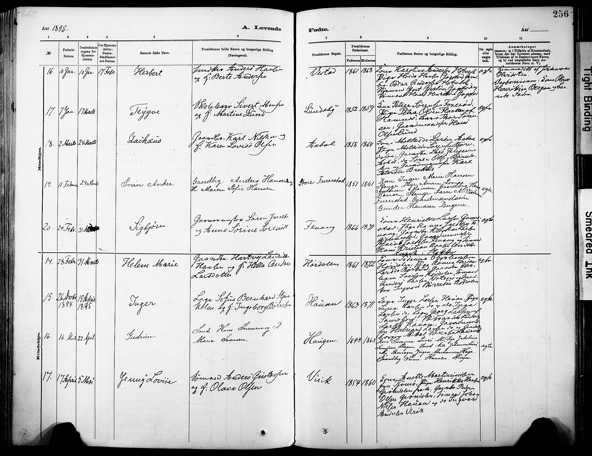 Sandar kirkebøker, AV/SAKO-A-243/F/Fa/L0012: Parish register (official) no. 12, 1883-1895, p. 256