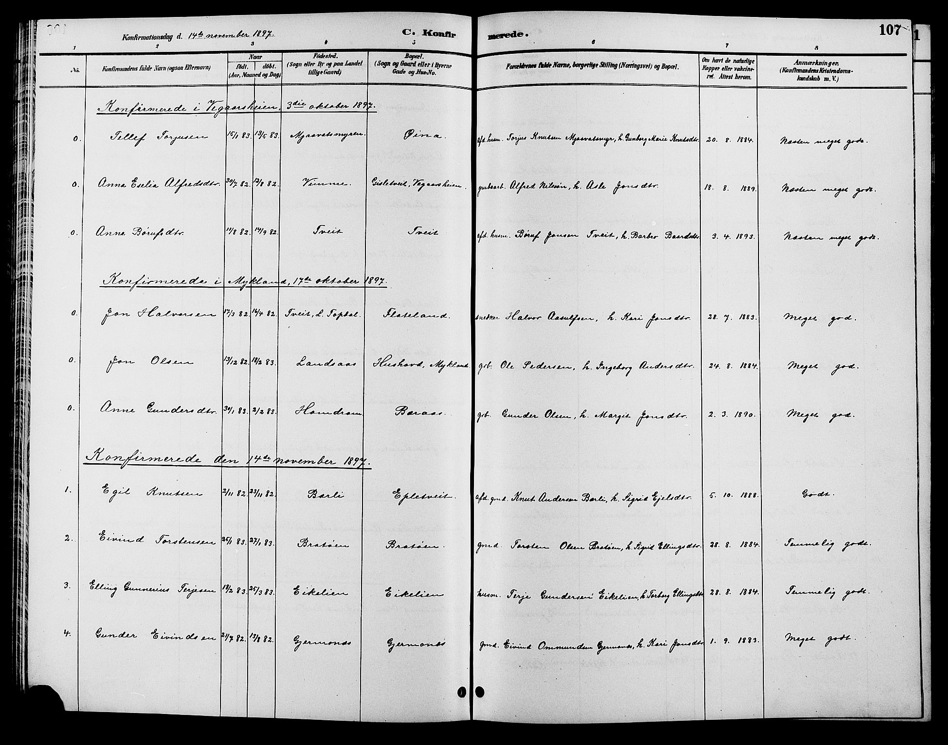 Åmli sokneprestkontor, SAK/1111-0050/F/Fb/Fbc/L0004: Parish register (copy) no. B 4, 1889-1902, p. 107