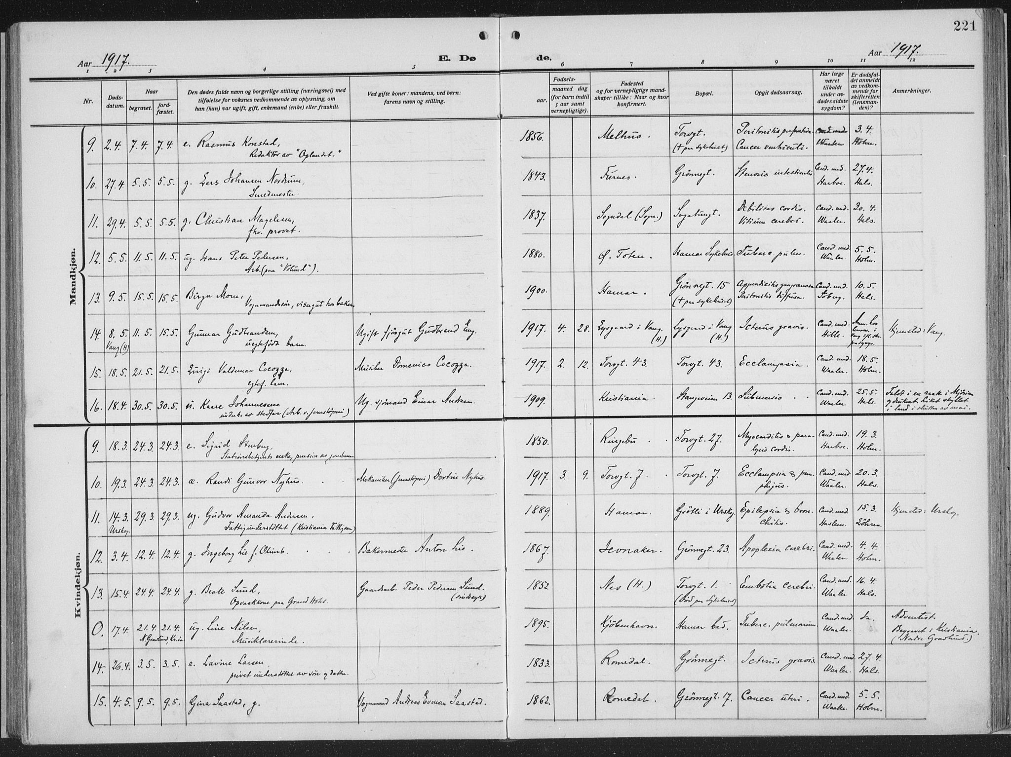 Hamar prestekontor, AV/SAH-DOMPH-002/H/Ha/Haa/L0002: Parish register (official) no. 2, 1915-1936, p. 221