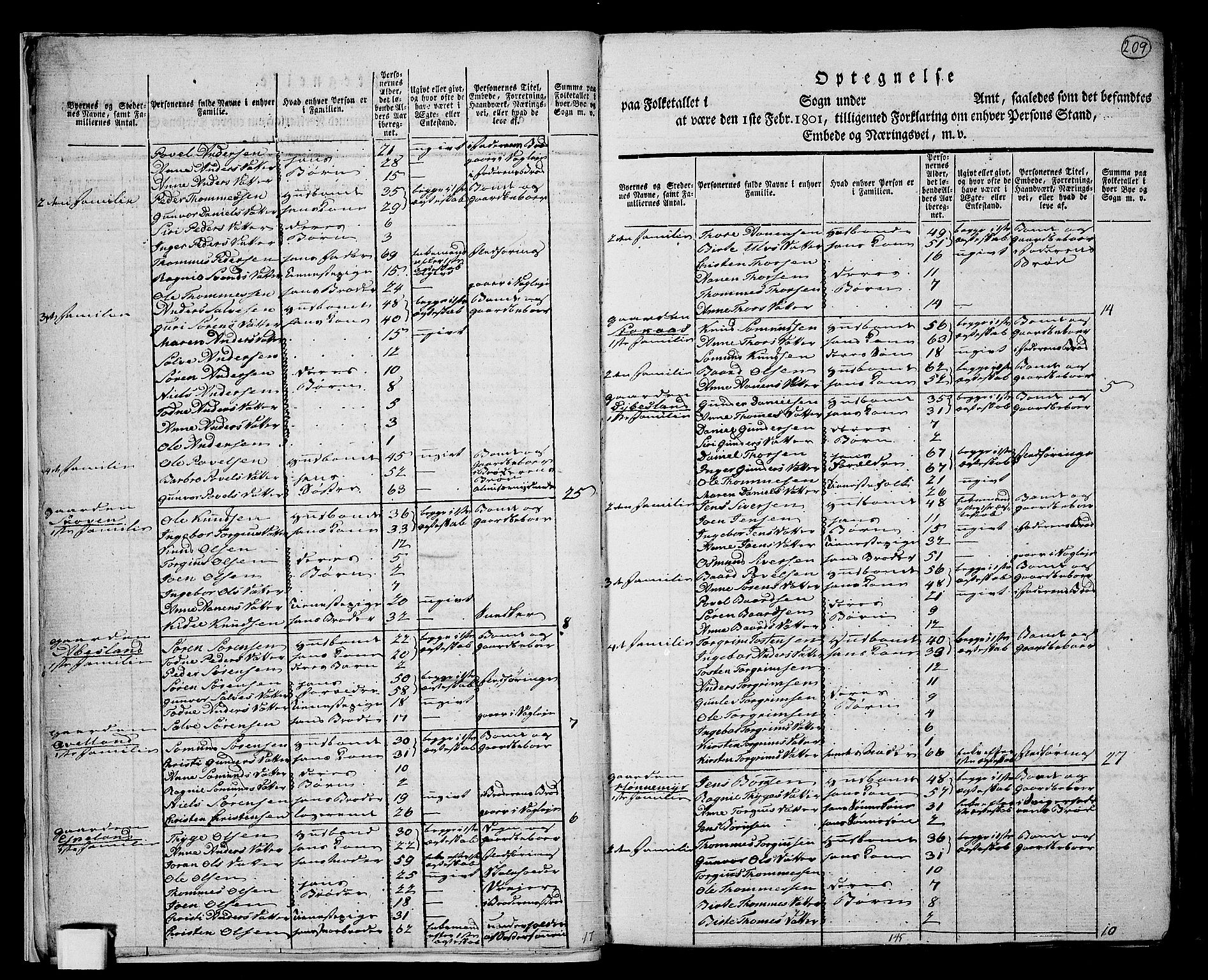 RA, 1801 census for 1024P Bjelland, 1801, p. 208b-209a