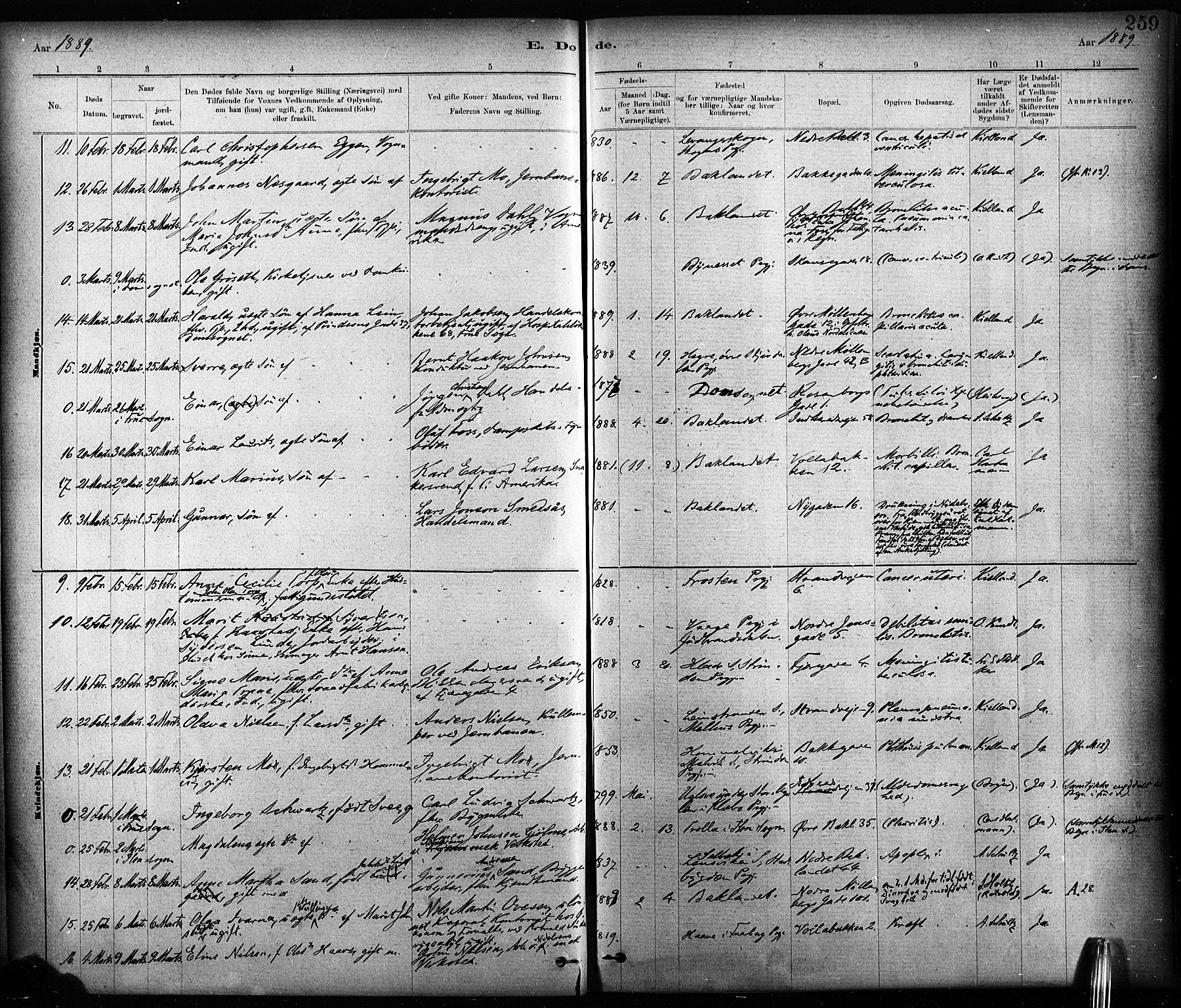 Ministerialprotokoller, klokkerbøker og fødselsregistre - Sør-Trøndelag, AV/SAT-A-1456/604/L0189: Parish register (official) no. 604A10, 1878-1892, p. 260