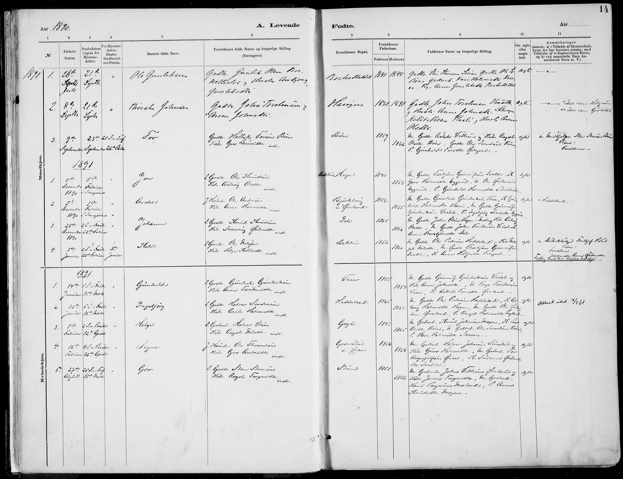 Rjukan kirkebøker, SAKO/A-294/F/Fa/L0001: Parish register (official) no. 1, 1878-1912, p. 14