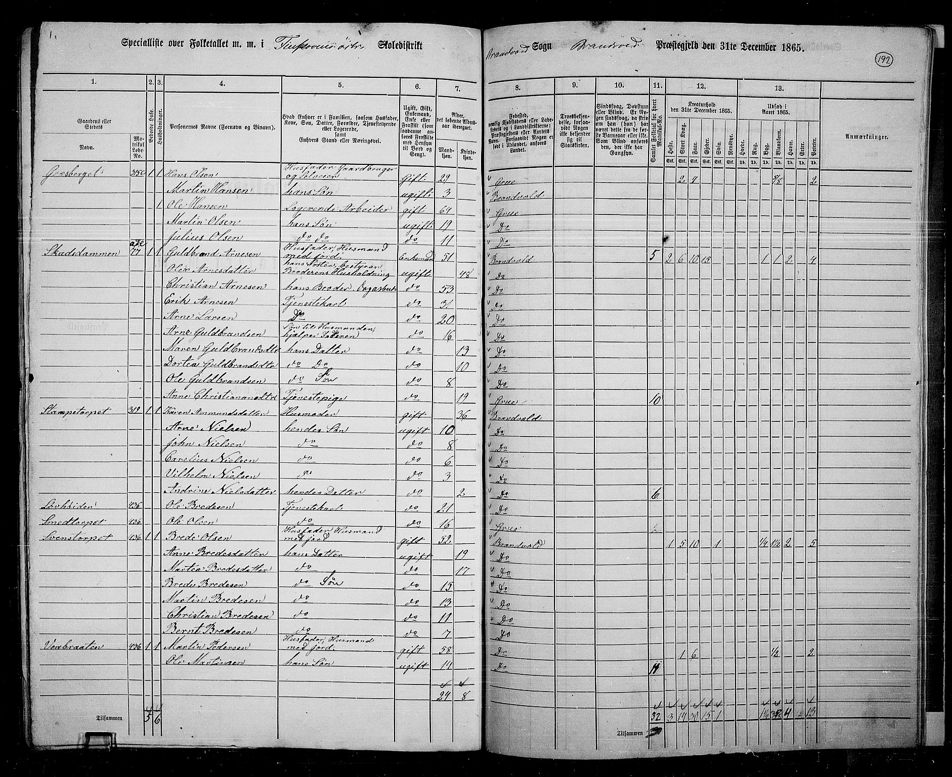 RA, 1865 census for Brandval, 1865, p. 160