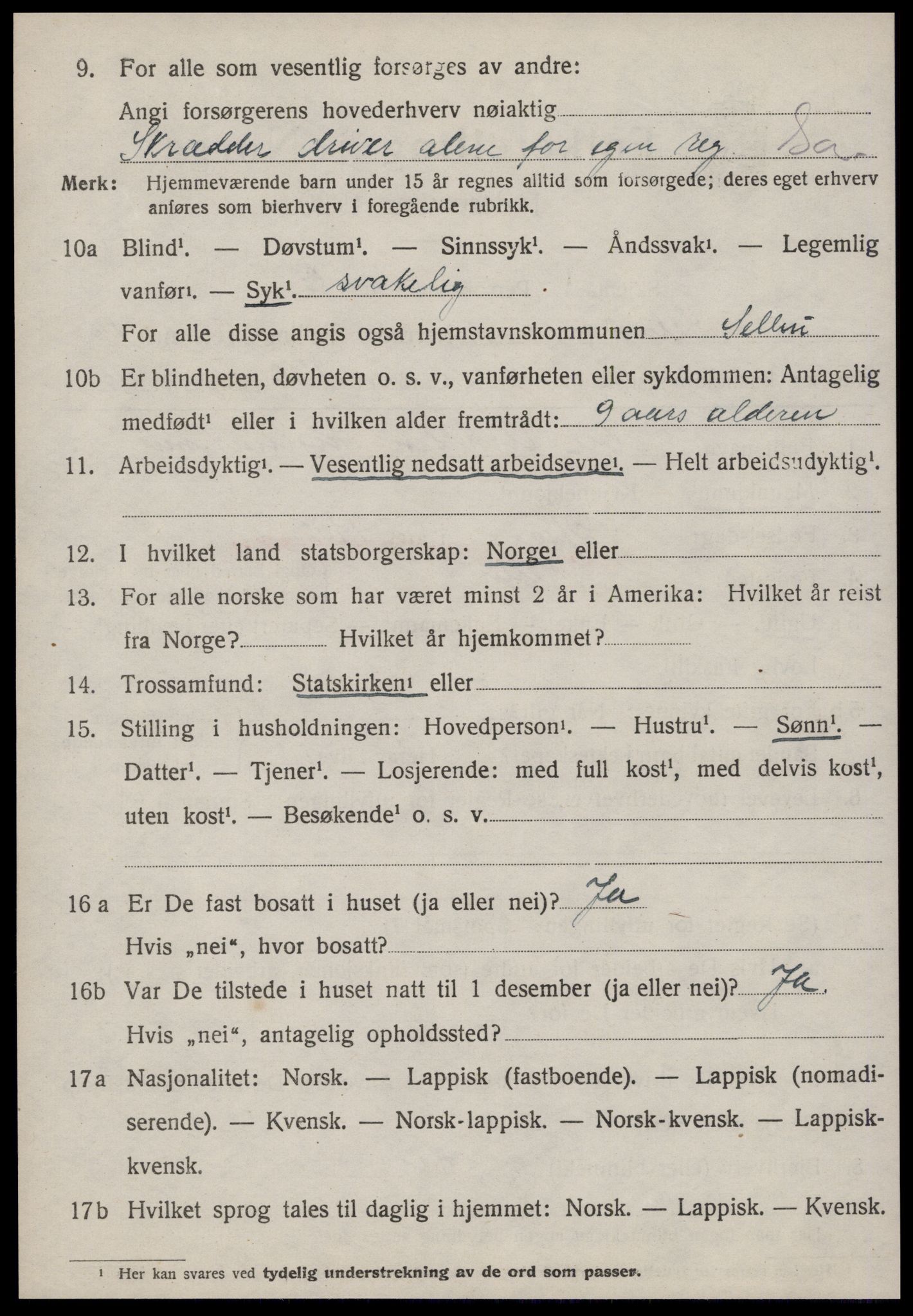 SAT, 1920 census for Selbu, 1920, p. 8501