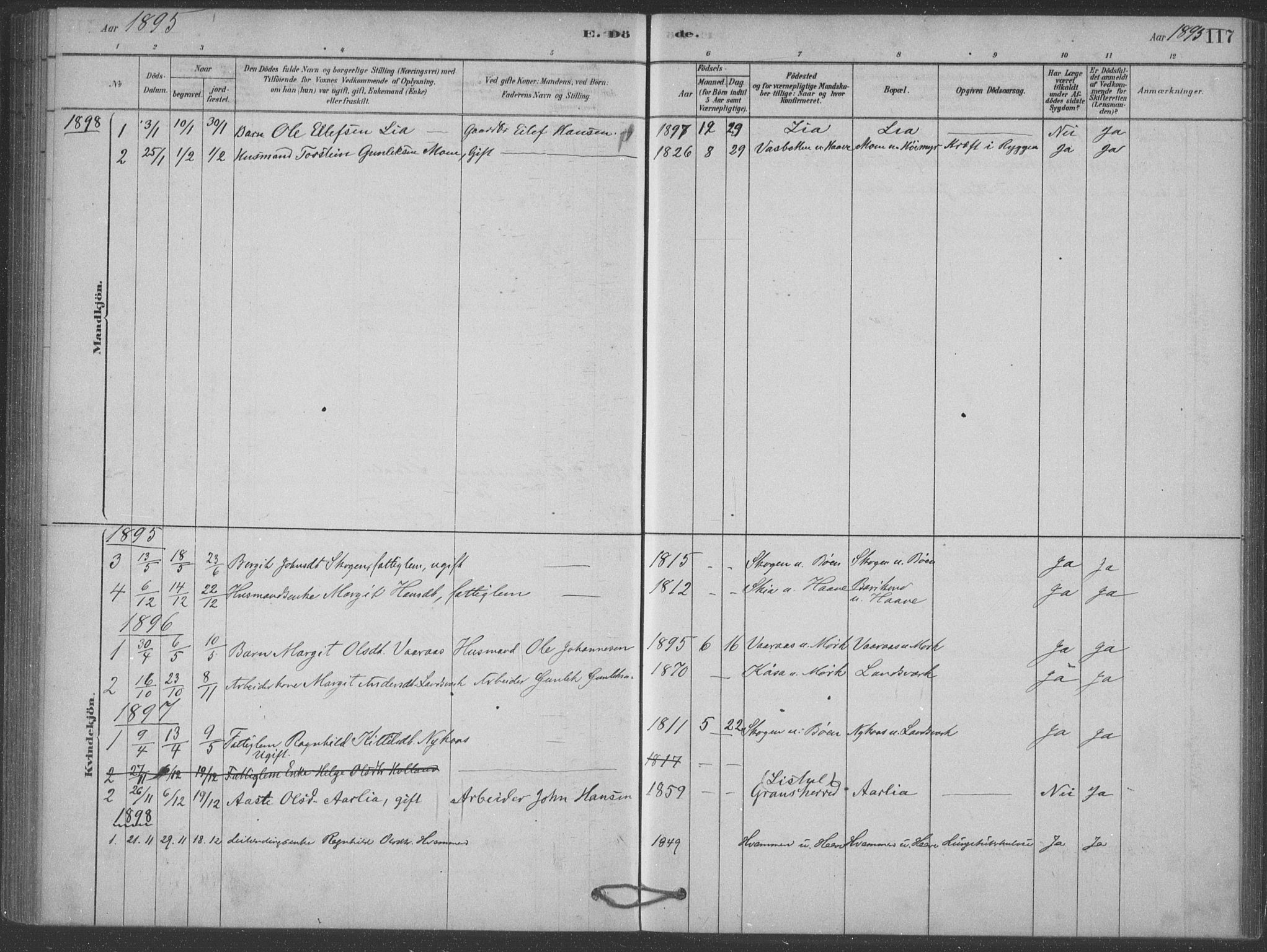 Heddal kirkebøker, SAKO/A-268/F/Fb/L0002: Parish register (official) no. II 2, 1878-1913, p. 117