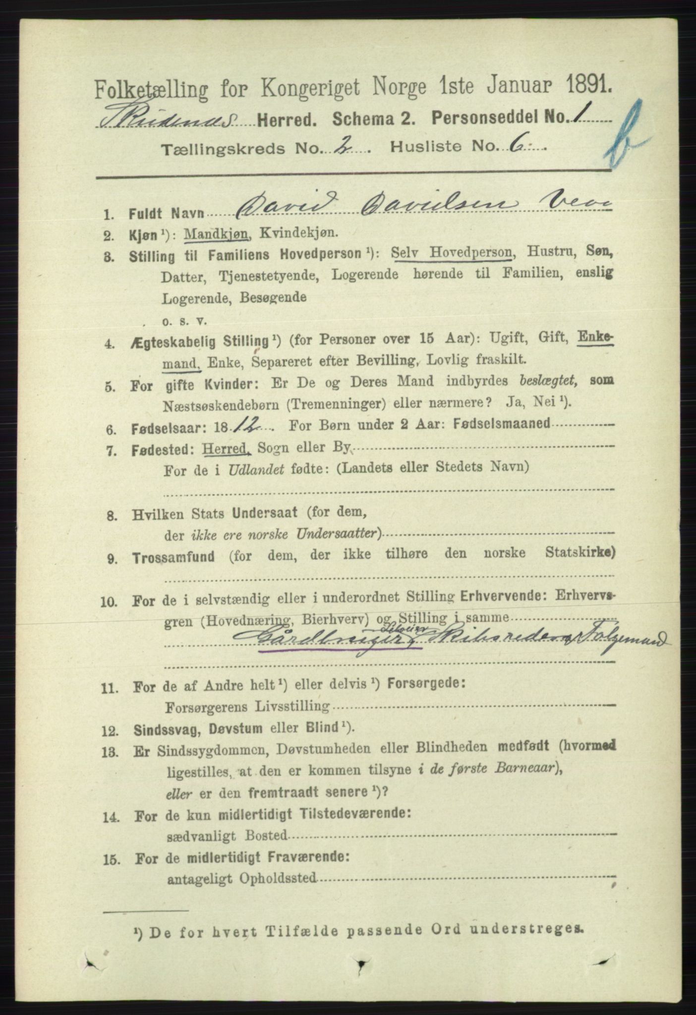 RA, 1891 census for 1150 Skudenes, 1891, p. 3743