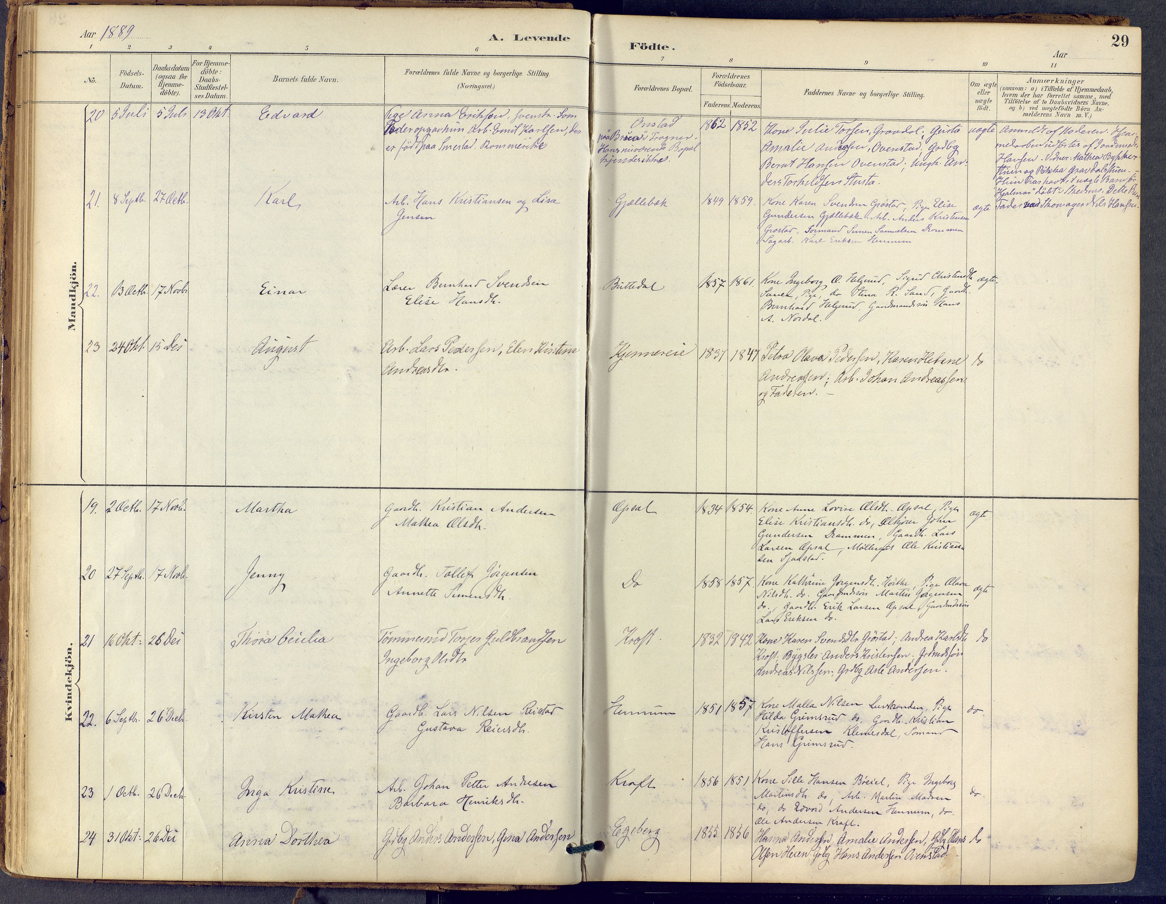 Lier kirkebøker, AV/SAKO-A-230/F/Fb/L0001: Parish register (official) no. II 1, 1883-1910, p. 29