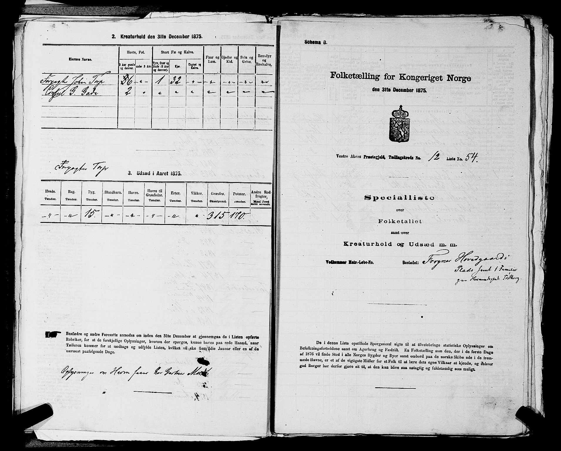 RA, 1875 census for 0218aP Vestre Aker, 1875, p. 2041