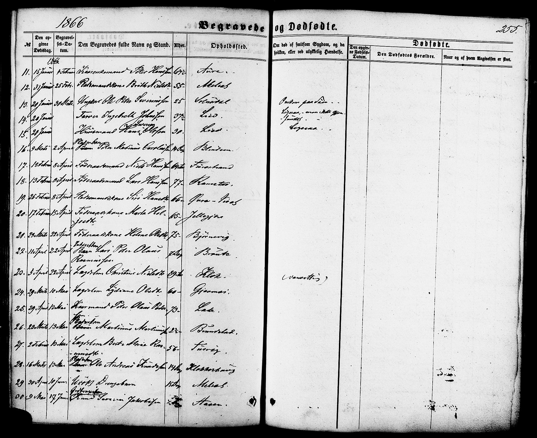 Ministerialprotokoller, klokkerbøker og fødselsregistre - Møre og Romsdal, AV/SAT-A-1454/522/L0314: Parish register (official) no. 522A09, 1863-1877, p. 255