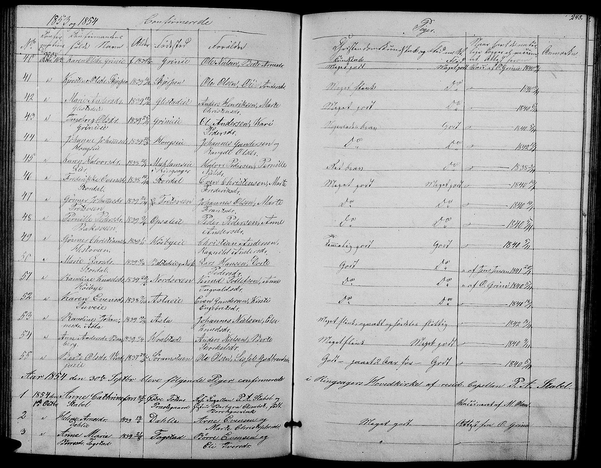 Ringsaker prestekontor, AV/SAH-PREST-014/L/La/L0006: Parish register (copy) no. 6, 1851-1860, p. 248