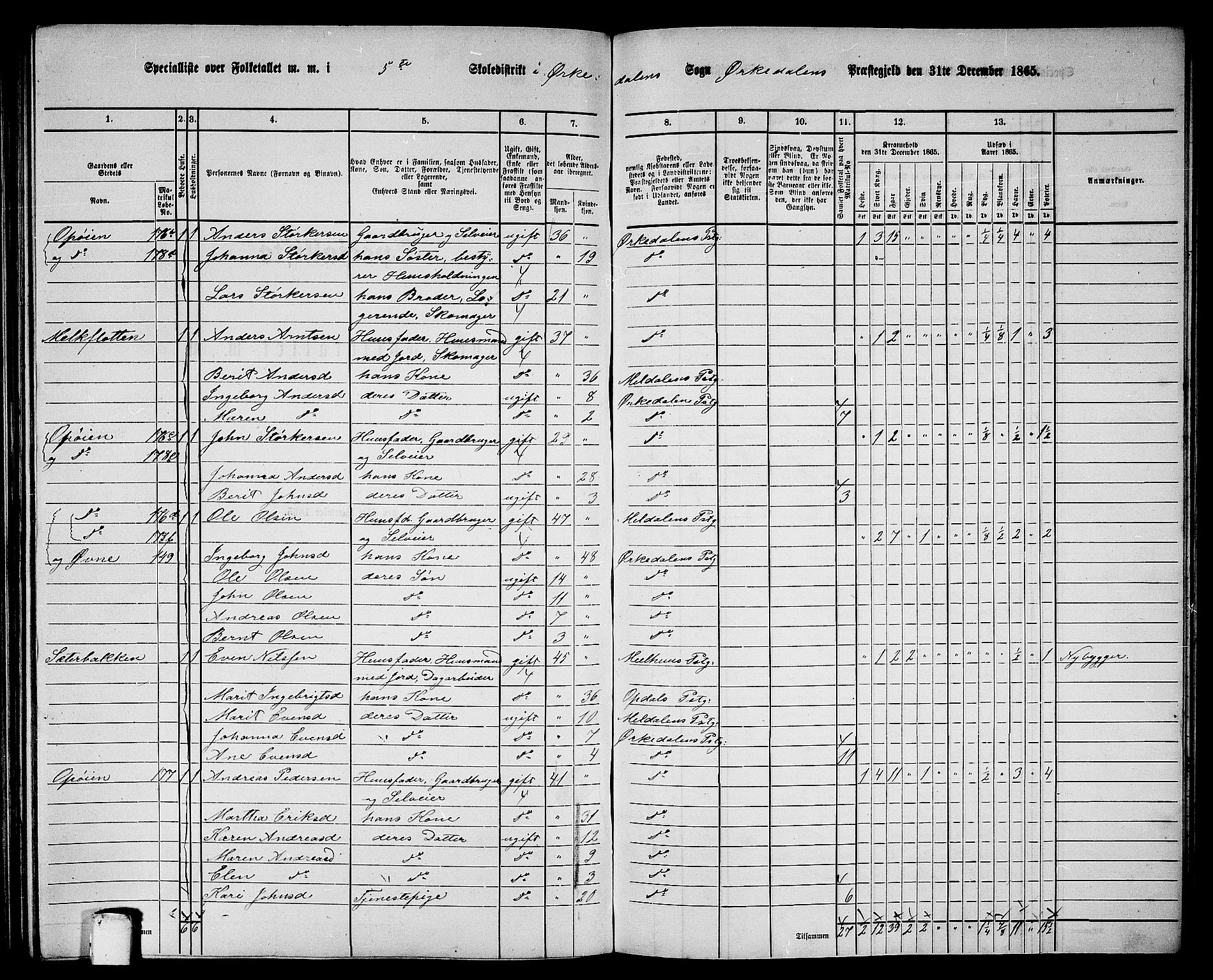 RA, 1865 census for Orkdal, 1865, p. 165