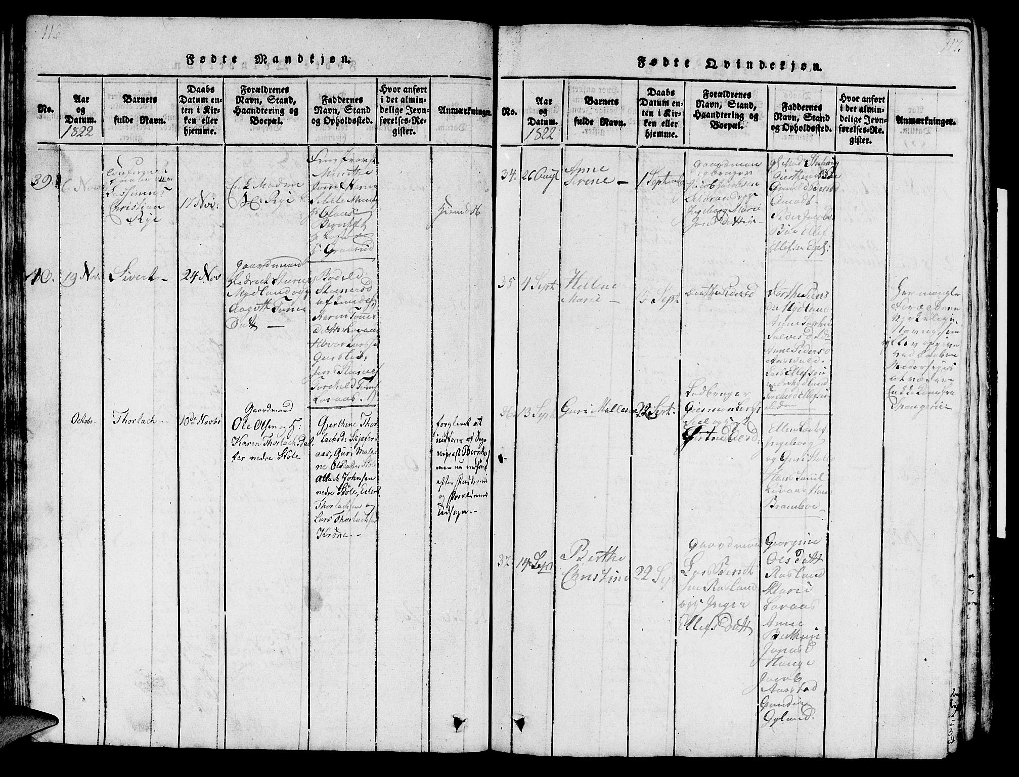 Sokndal sokneprestkontor, AV/SAST-A-101808: Parish register (official) no. A 6, 1815-1826, p. 116-117