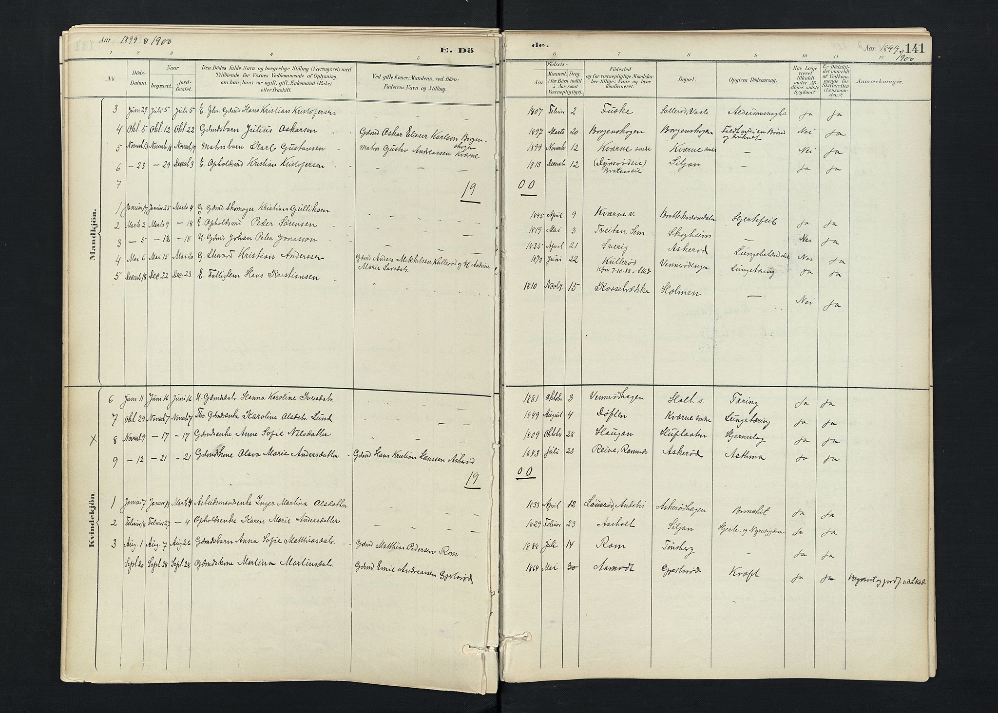 Stokke kirkebøker, SAKO/A-320/F/Fc/L0001: Parish register (official) no. III 1, 1884-1910, p. 141