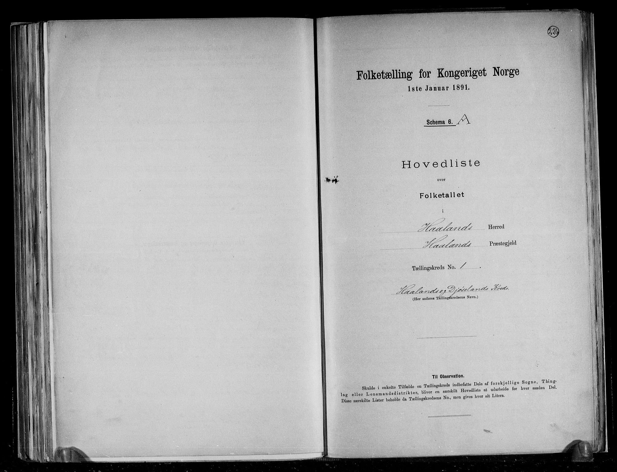 RA, 1891 census for 1124 Haaland, 1891, p. 4