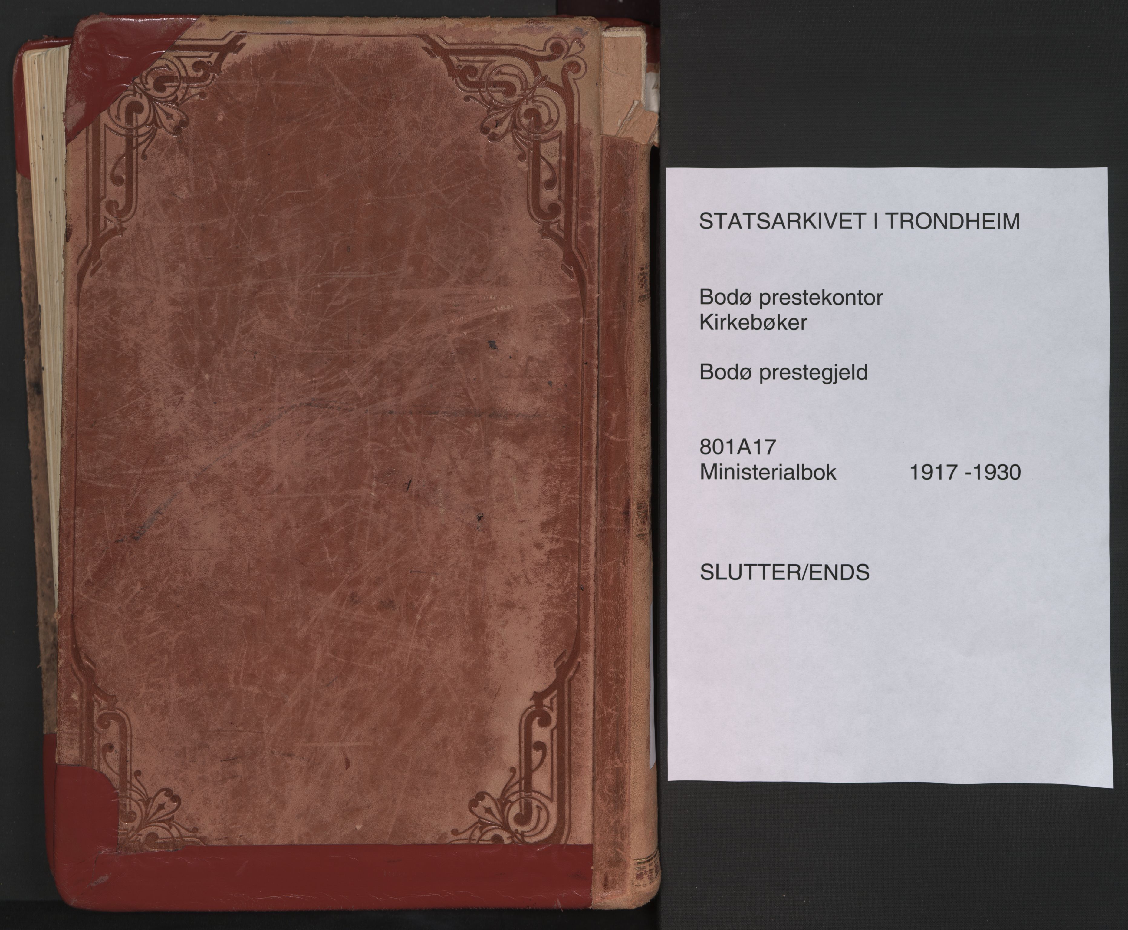 Ministerialprotokoller, klokkerbøker og fødselsregistre - Nordland, SAT/A-1459/801/L0017: Parish register (official) no. 801A17, 1917-1930