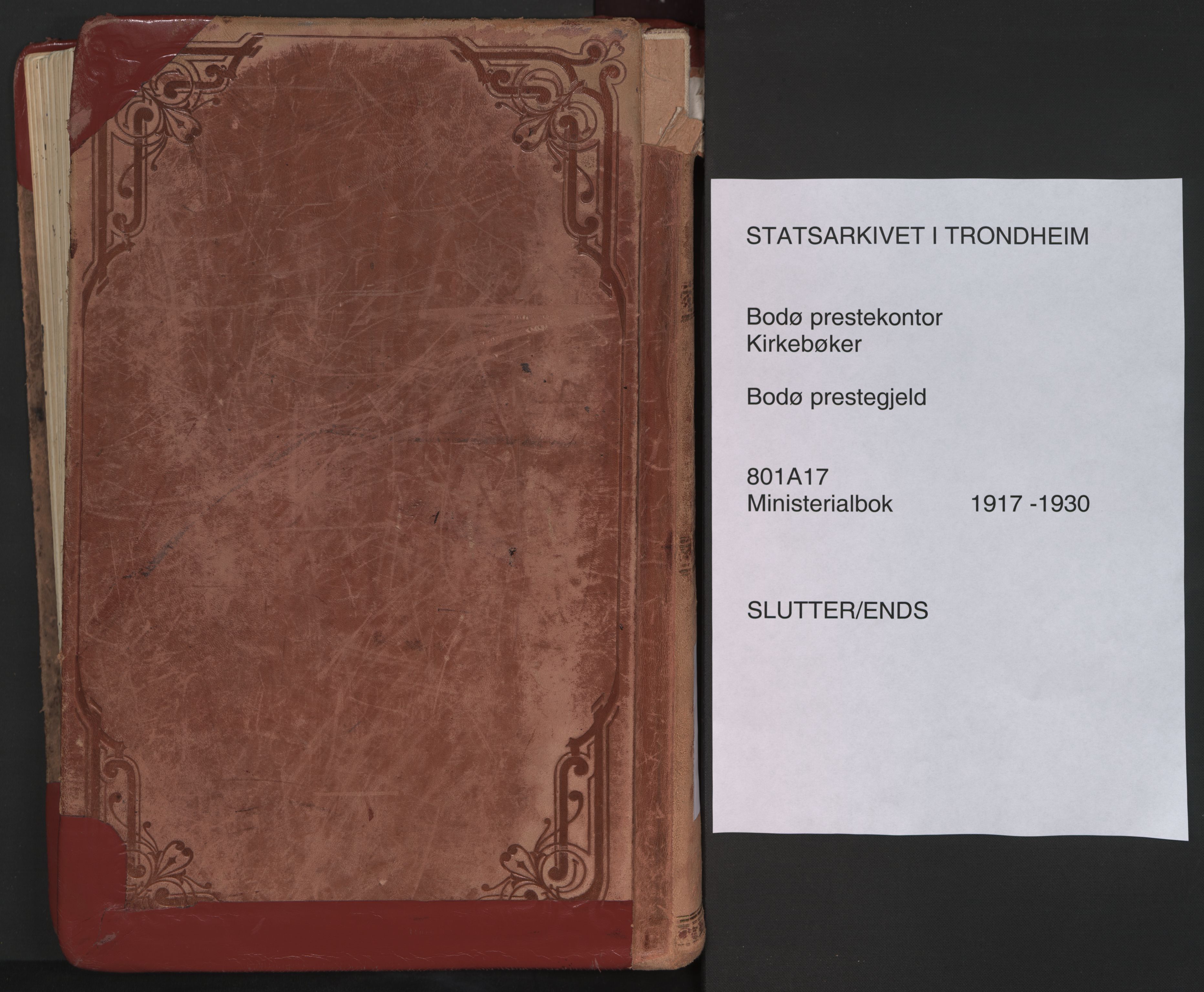 Ministerialprotokoller, klokkerbøker og fødselsregistre - Nordland, AV/SAT-A-1459/801/L0017: Parish register (official) no. 801A17, 1917-1930