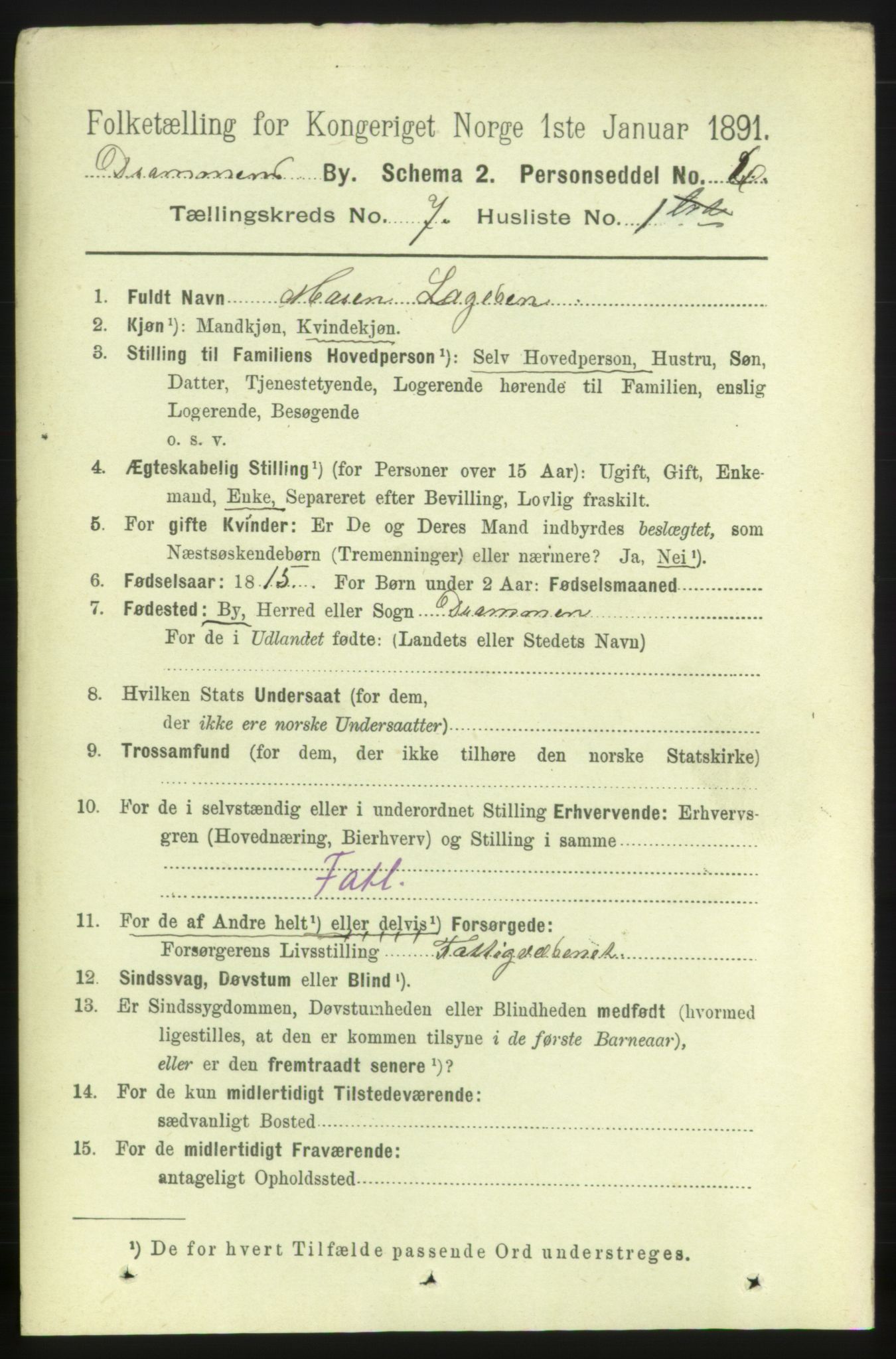 RA, 1891 census for 0602 Drammen, 1891, p. 6357