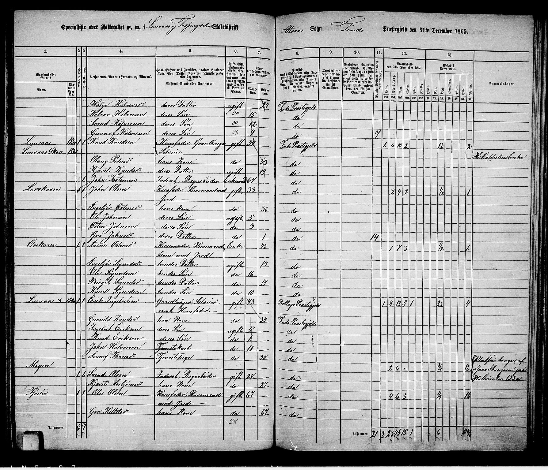RA, 1865 census for Tinn, 1865, p. 38