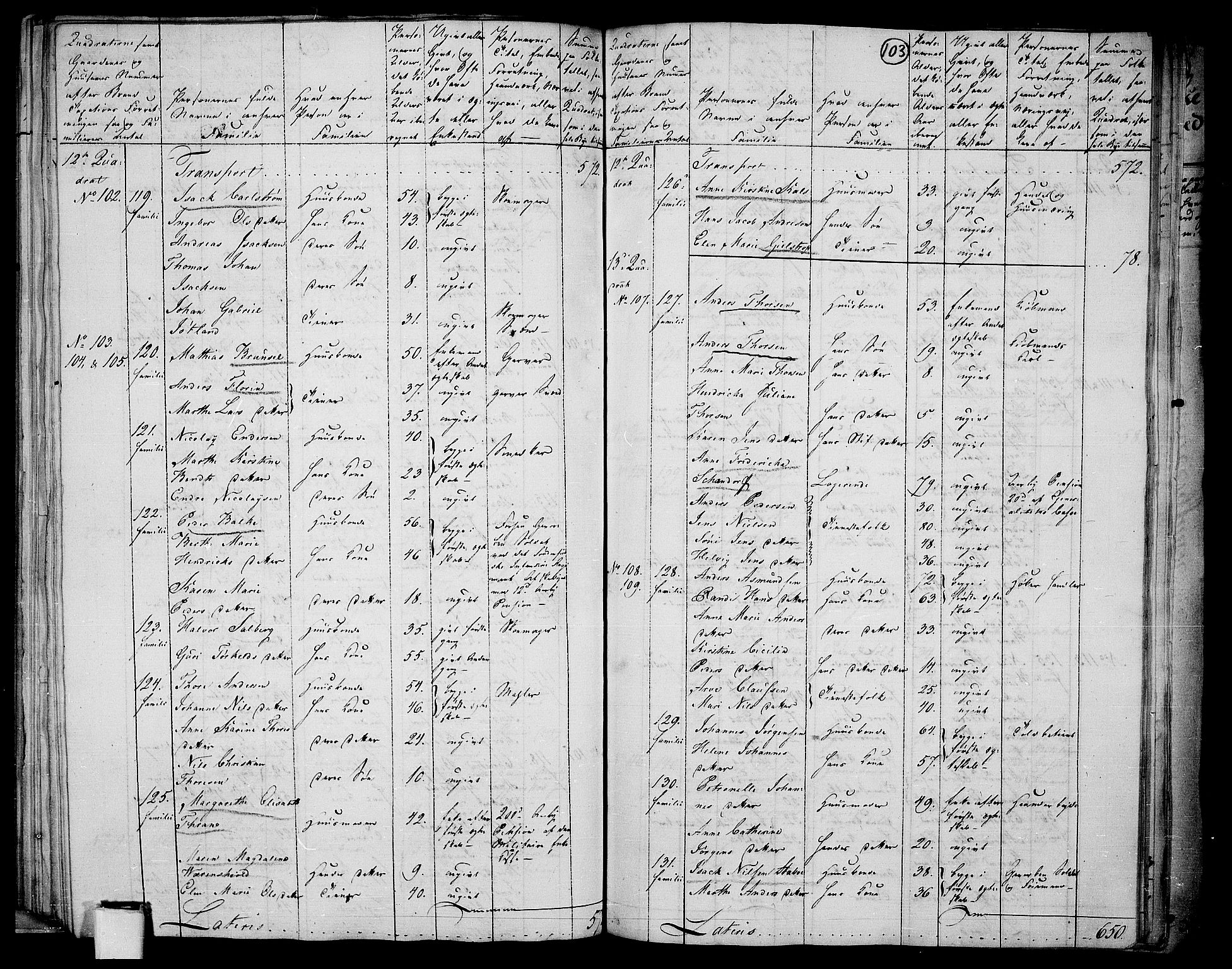 RA, 1801 census for 0103P Fredrikstad, 1801, p. 102b-103a