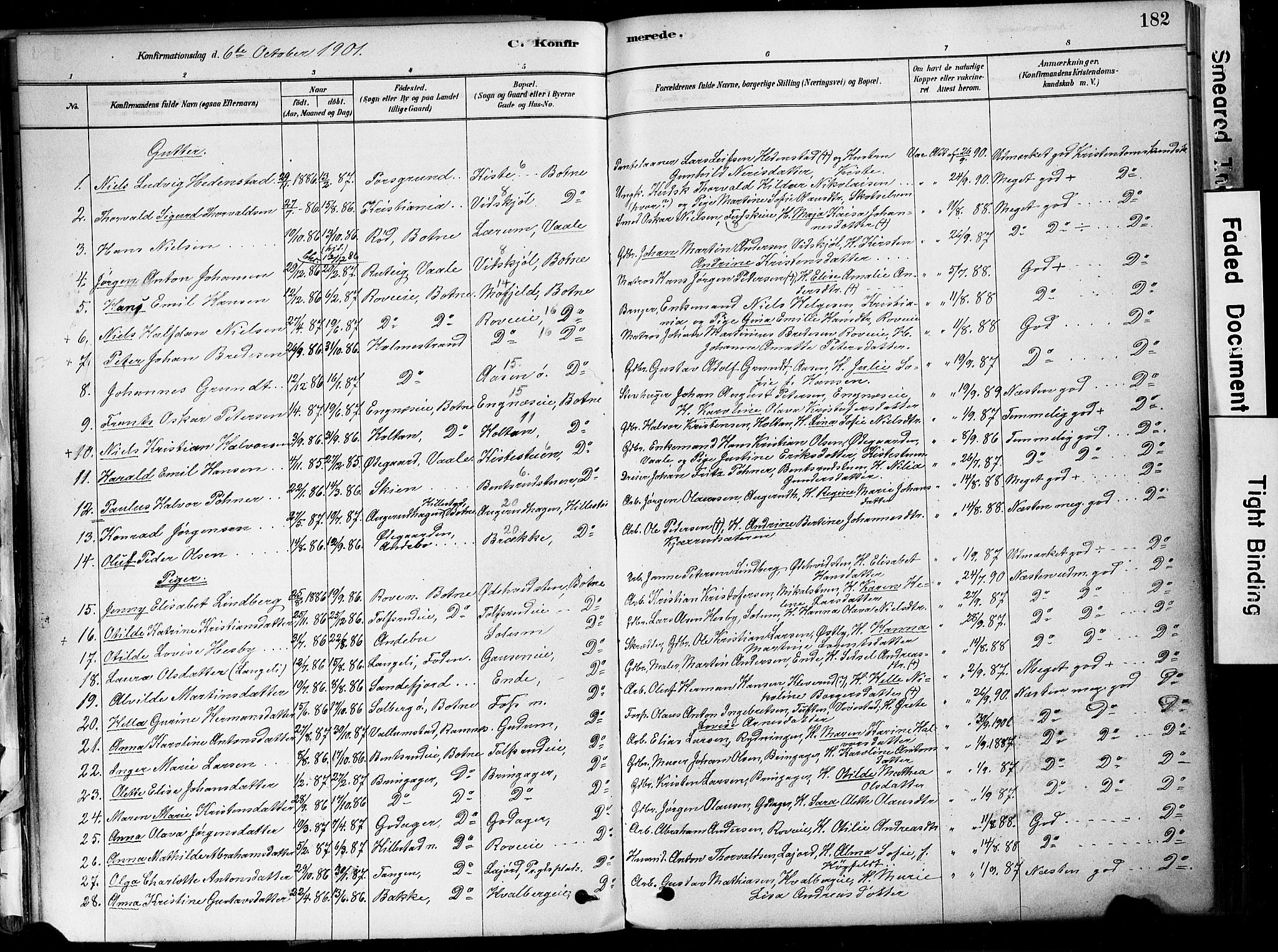 Botne kirkebøker, AV/SAKO-A-340/F/Fa/L0007: Parish register (official) no. I 7, 1878-1910, p. 182