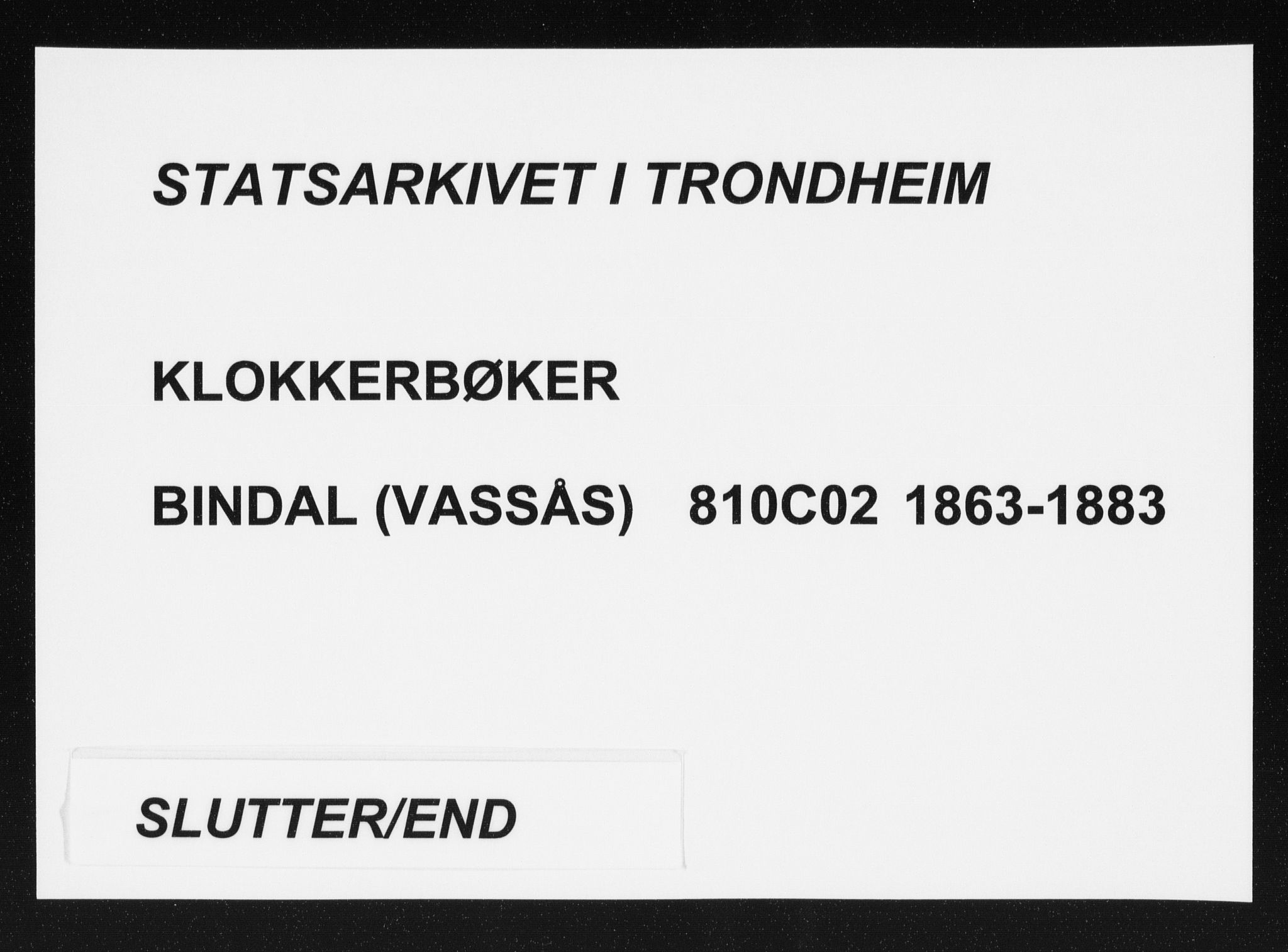 Ministerialprotokoller, klokkerbøker og fødselsregistre - Nordland, AV/SAT-A-1459/810/L0158: Parish register (copy) no. 810C02 /1, 1863-1883